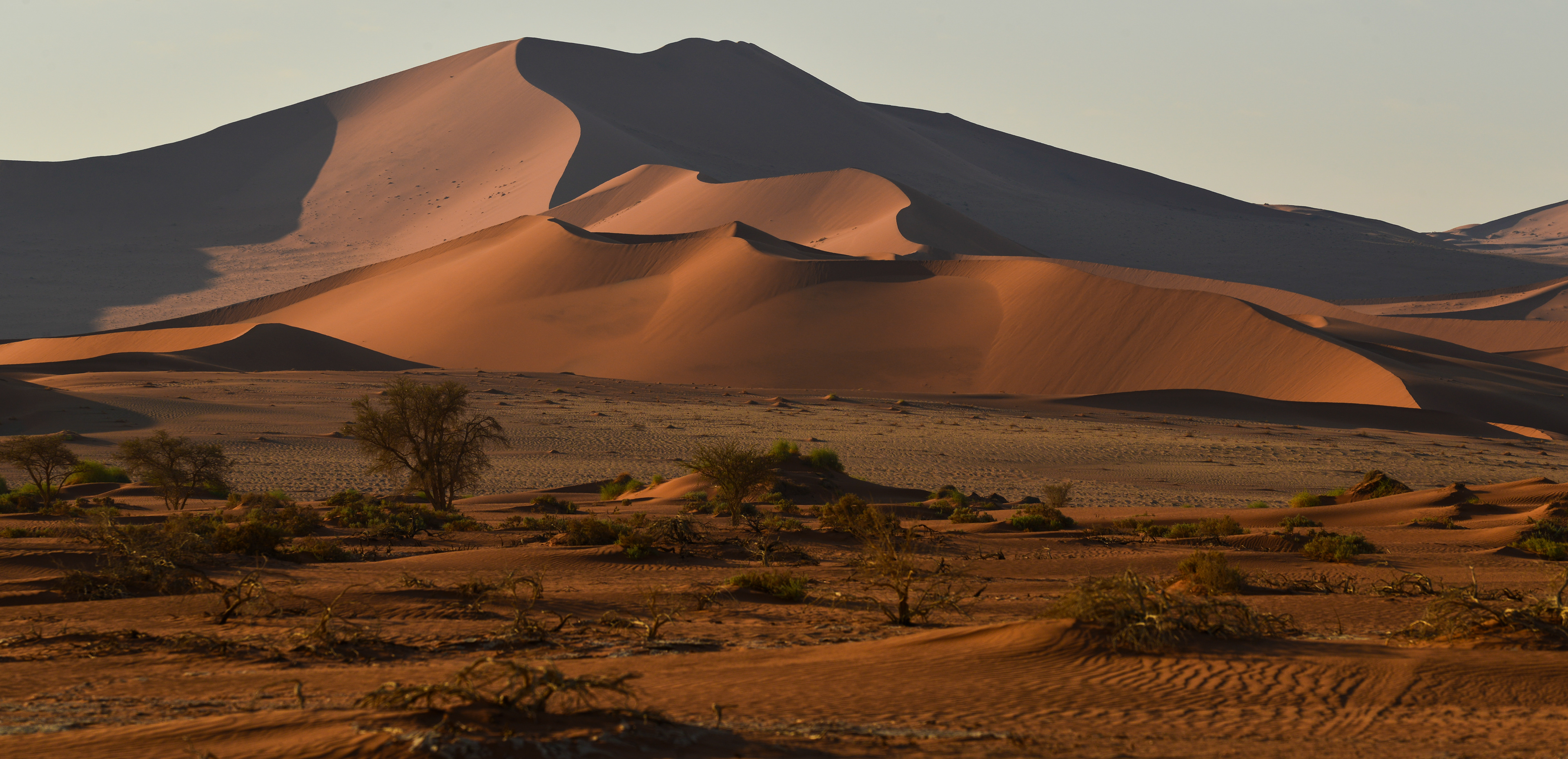 Big Daddy sand dune 350m high