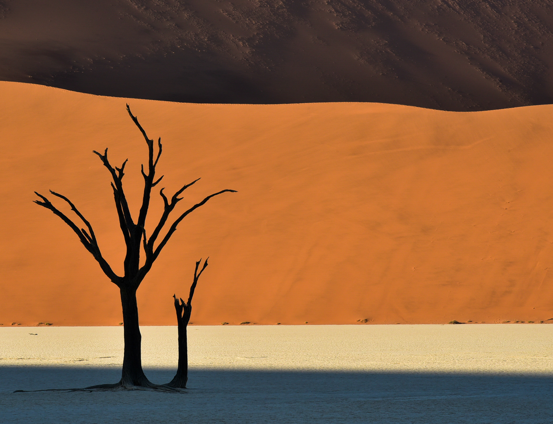 Dead Vlei