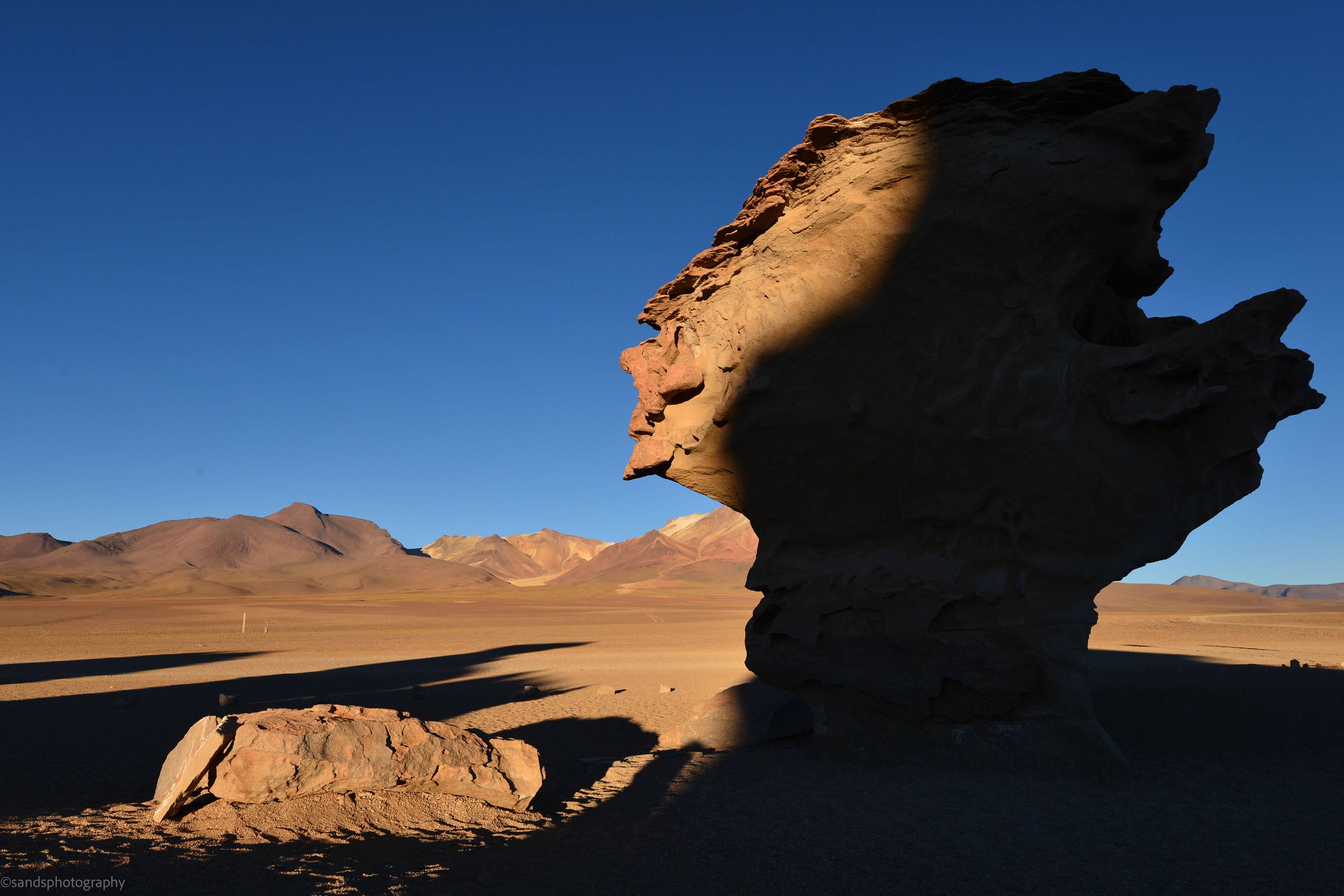 Stone tree, Siloli Desert