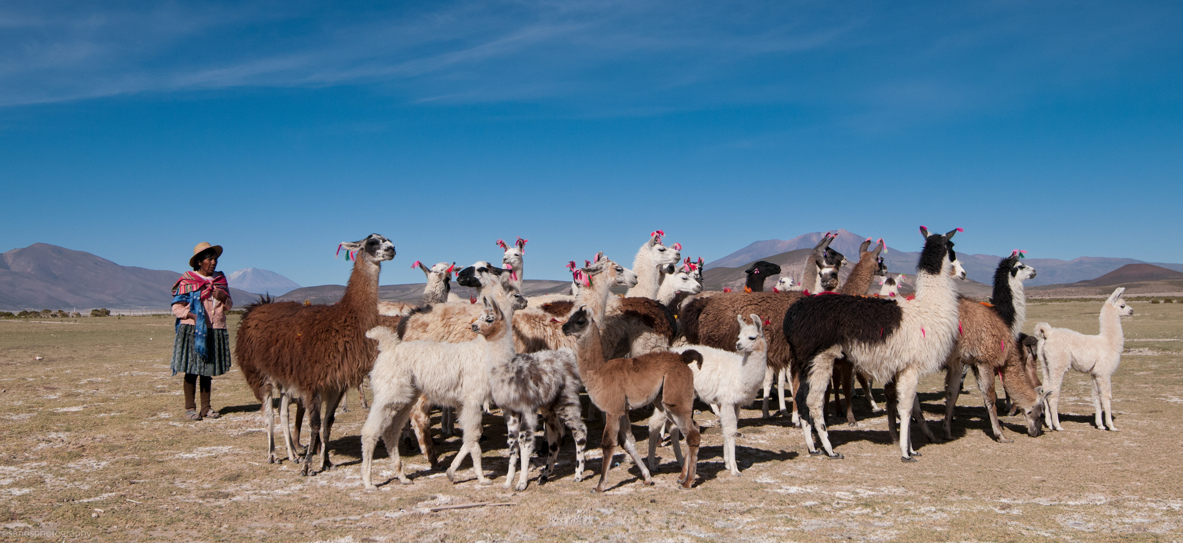San Juan del Rosario, Bolivia