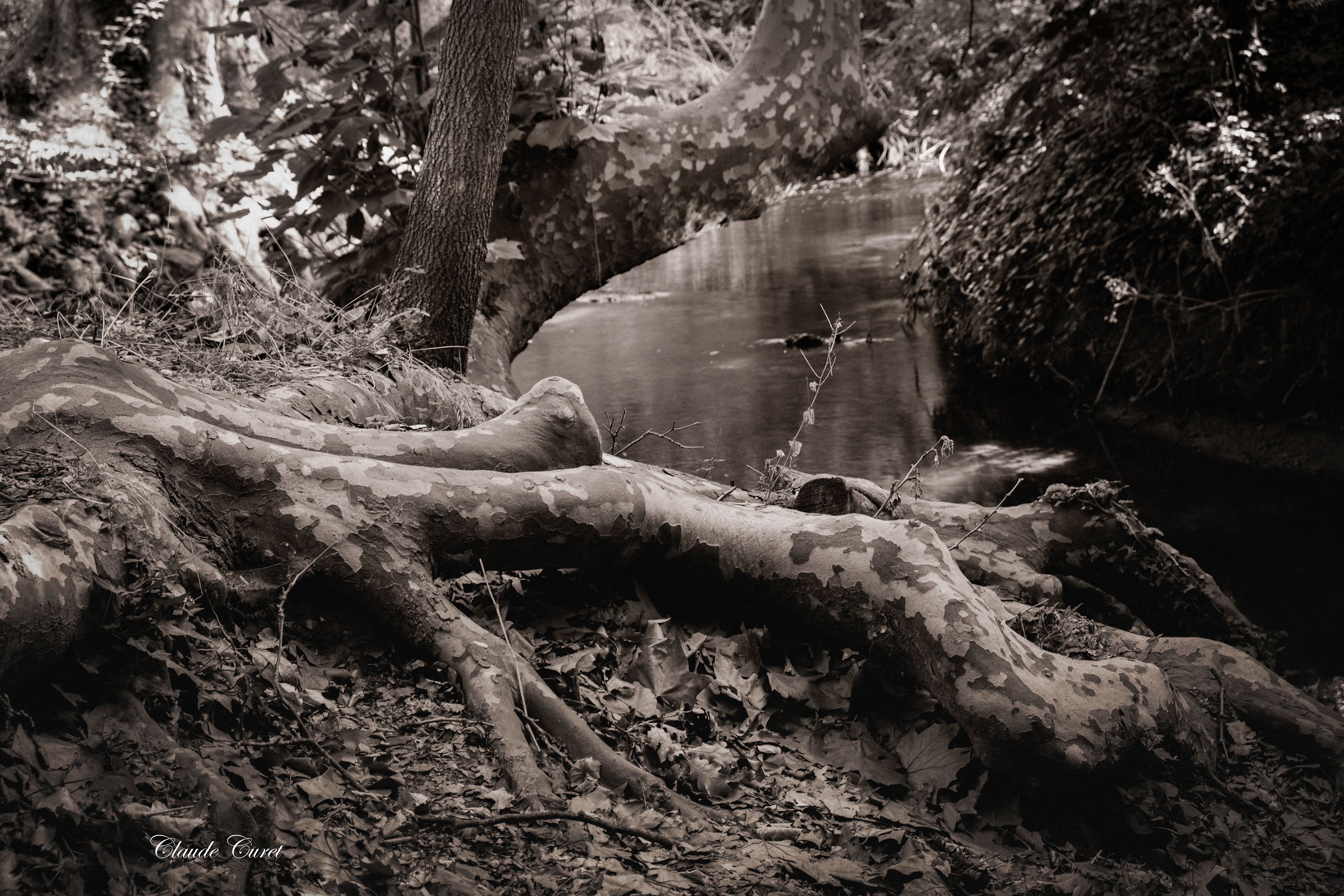 Valabre - Gardanne