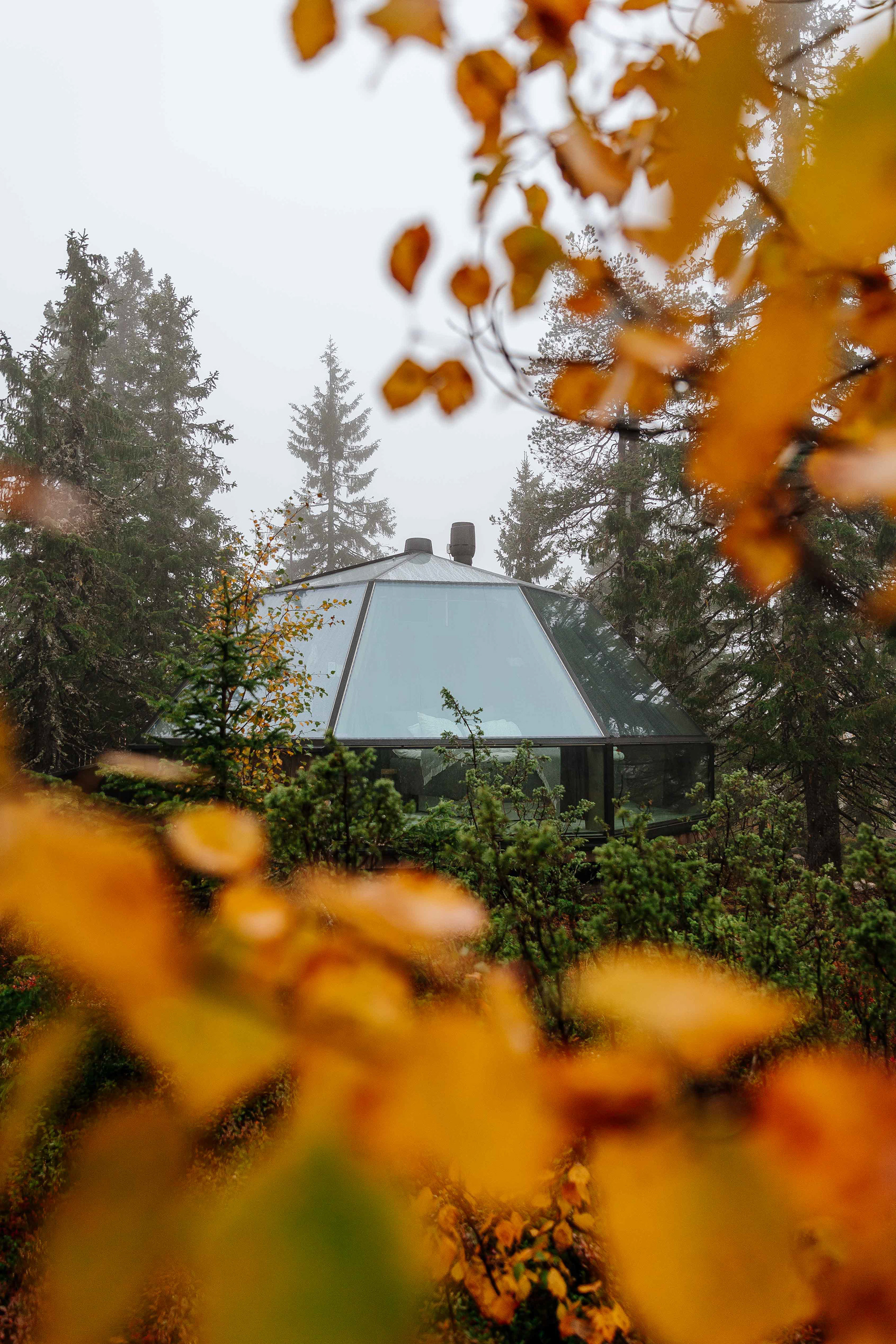 Syöte Igloos