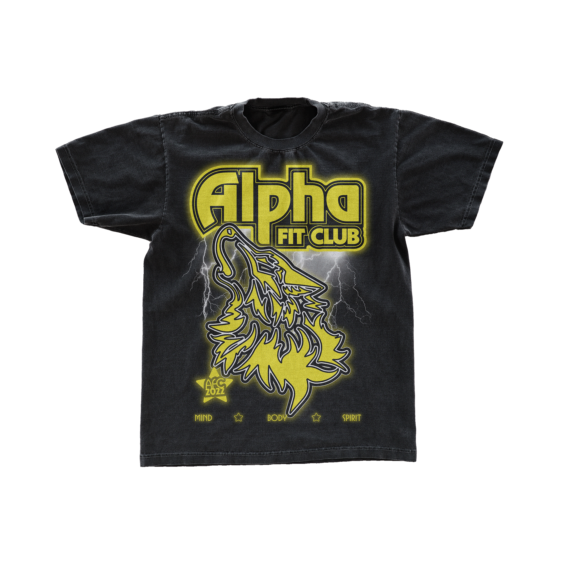 Alpha phi thrasher top shirt