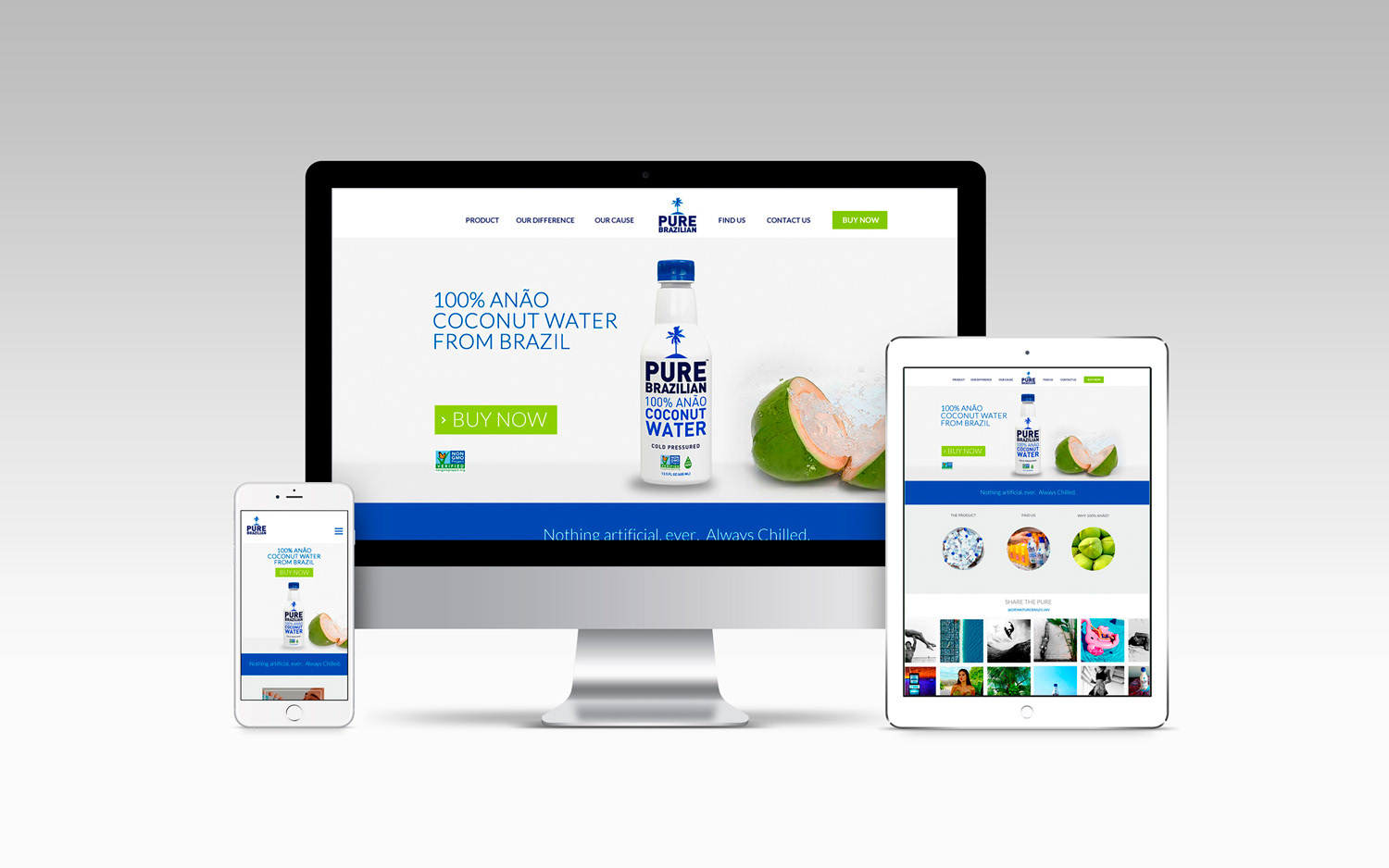 Pure Brazilian Website Design