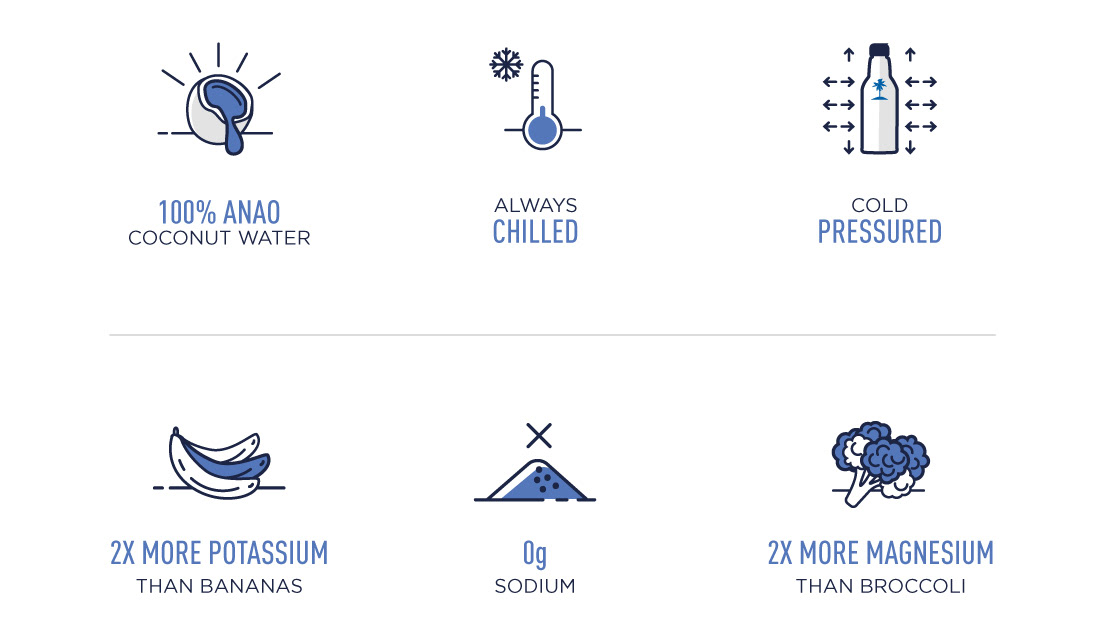 Pure Brazilian icons Design