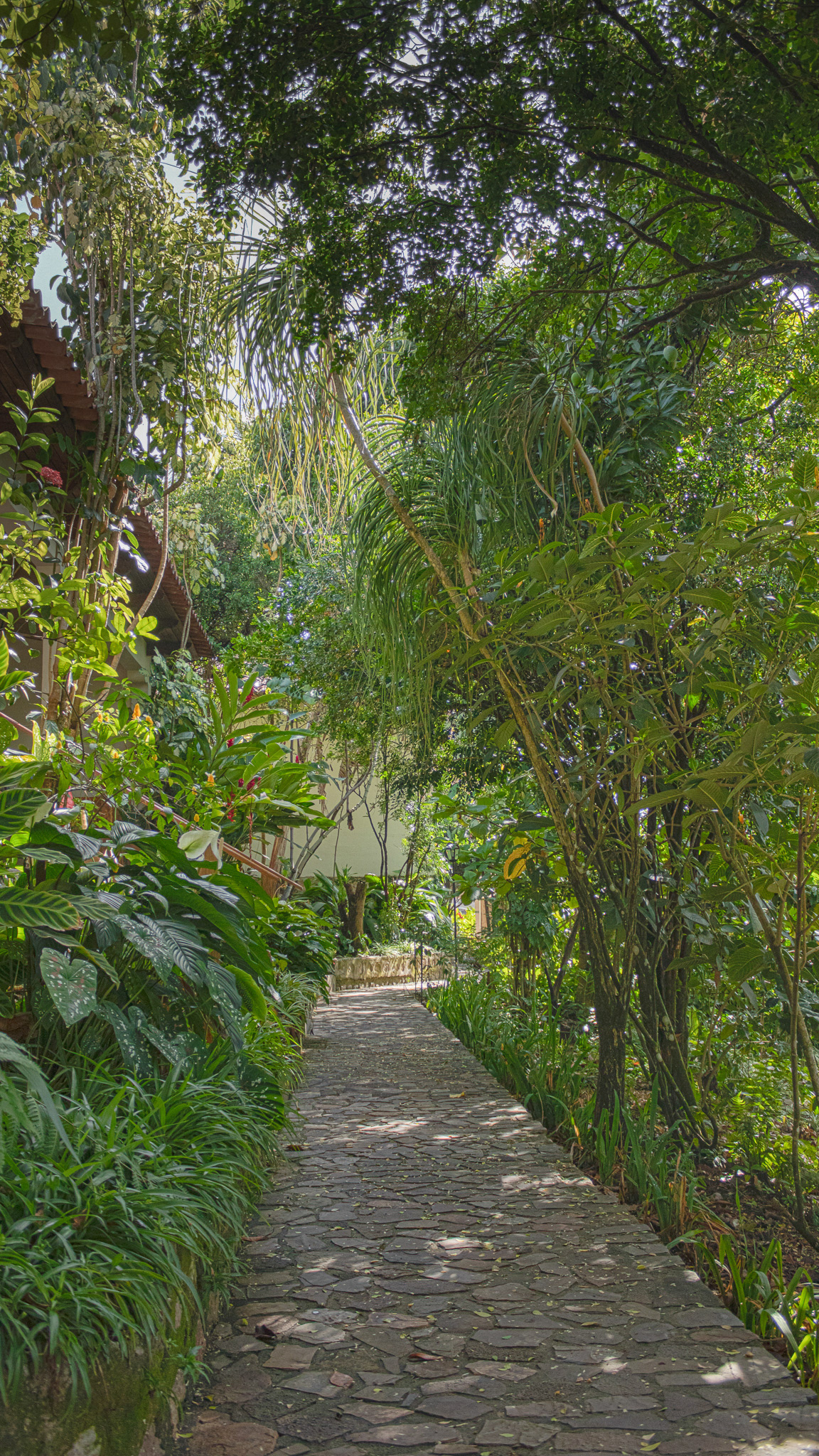 Hotel Guancasco - Gracias, Honduras