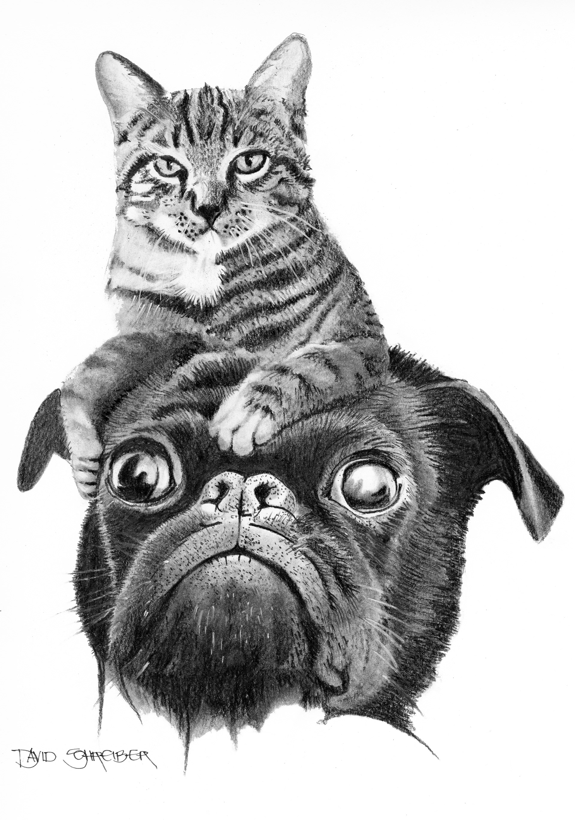 Bloody Cat