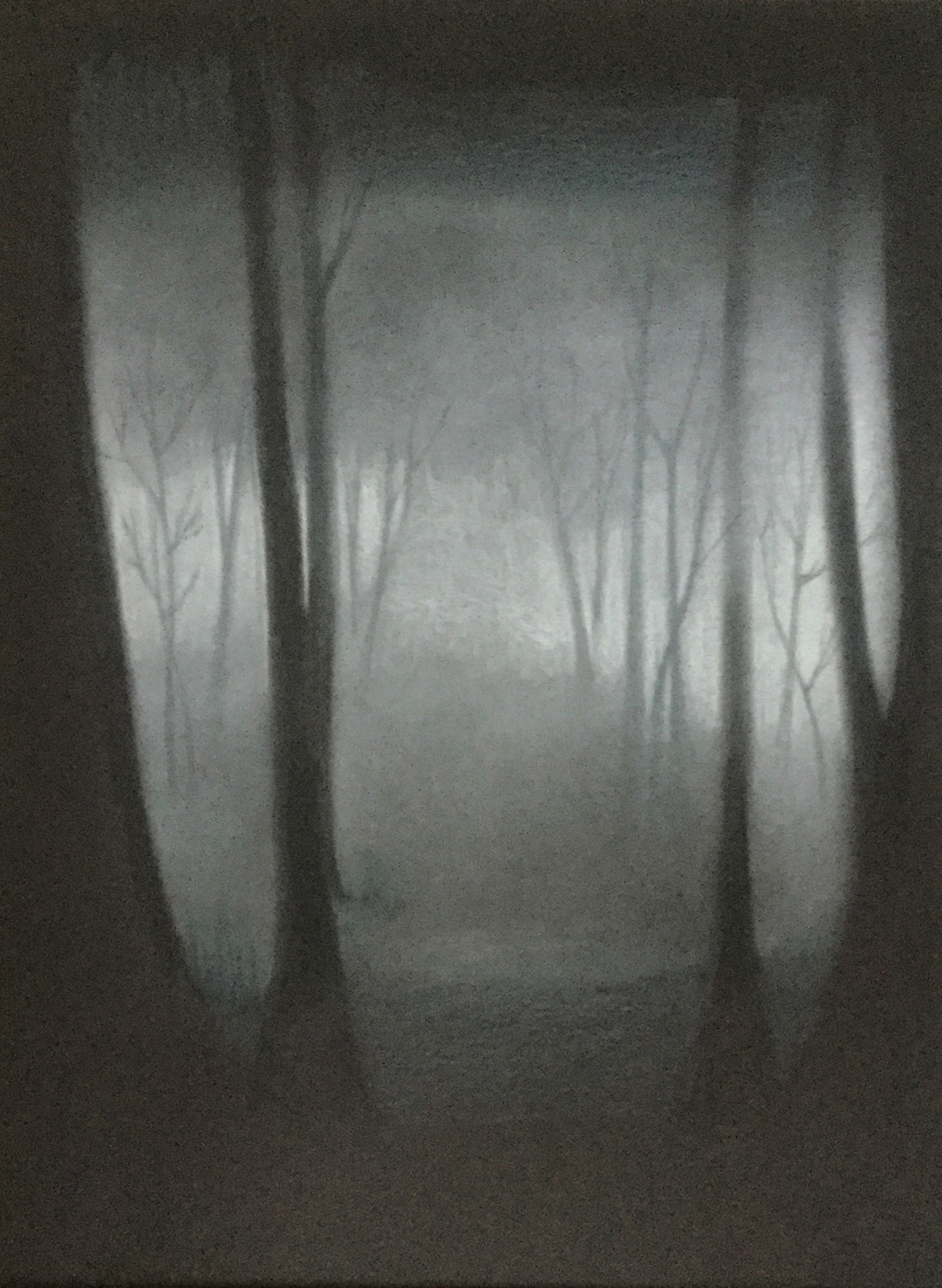 Mystical Forest