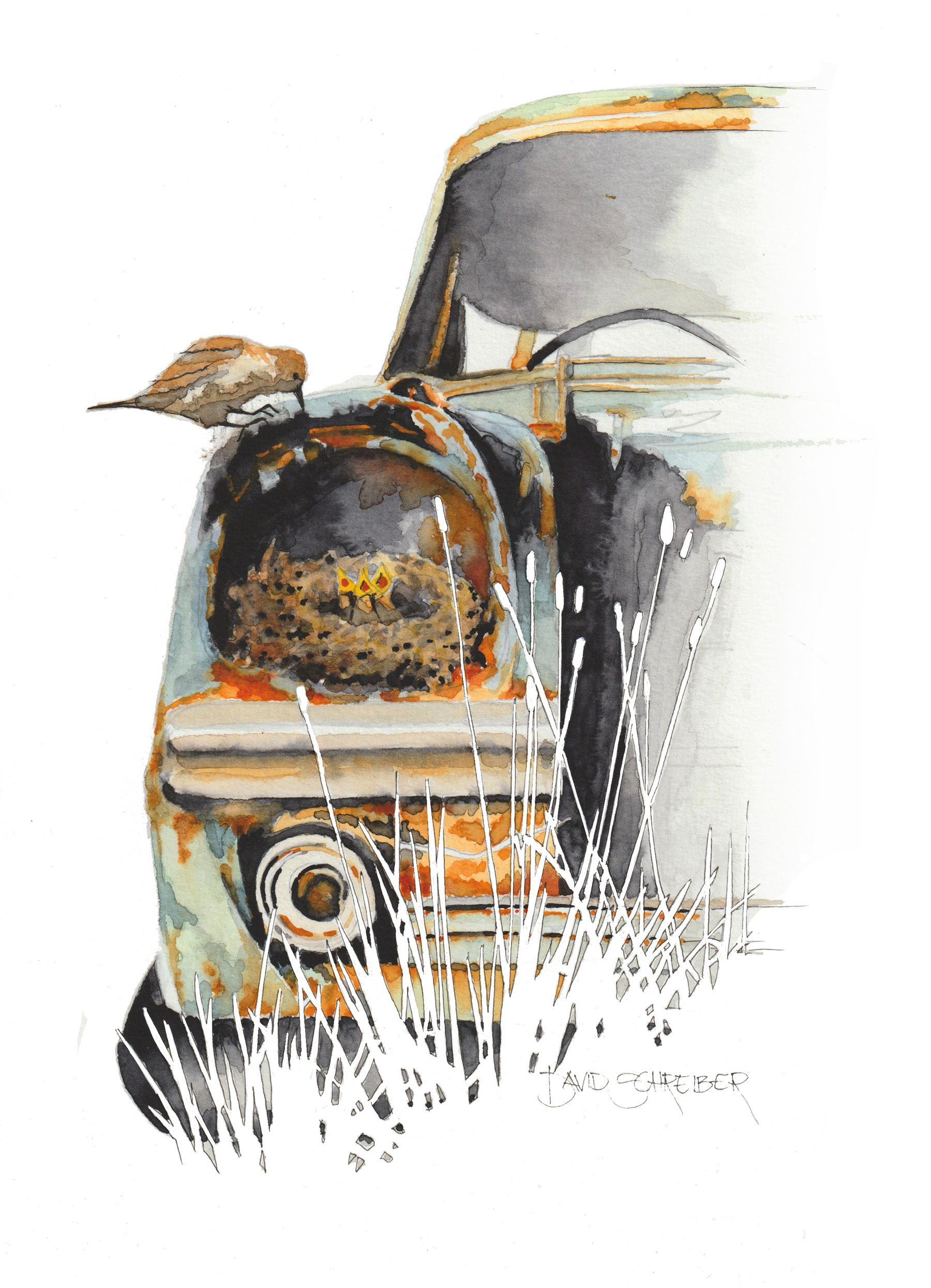 Nature Returns
