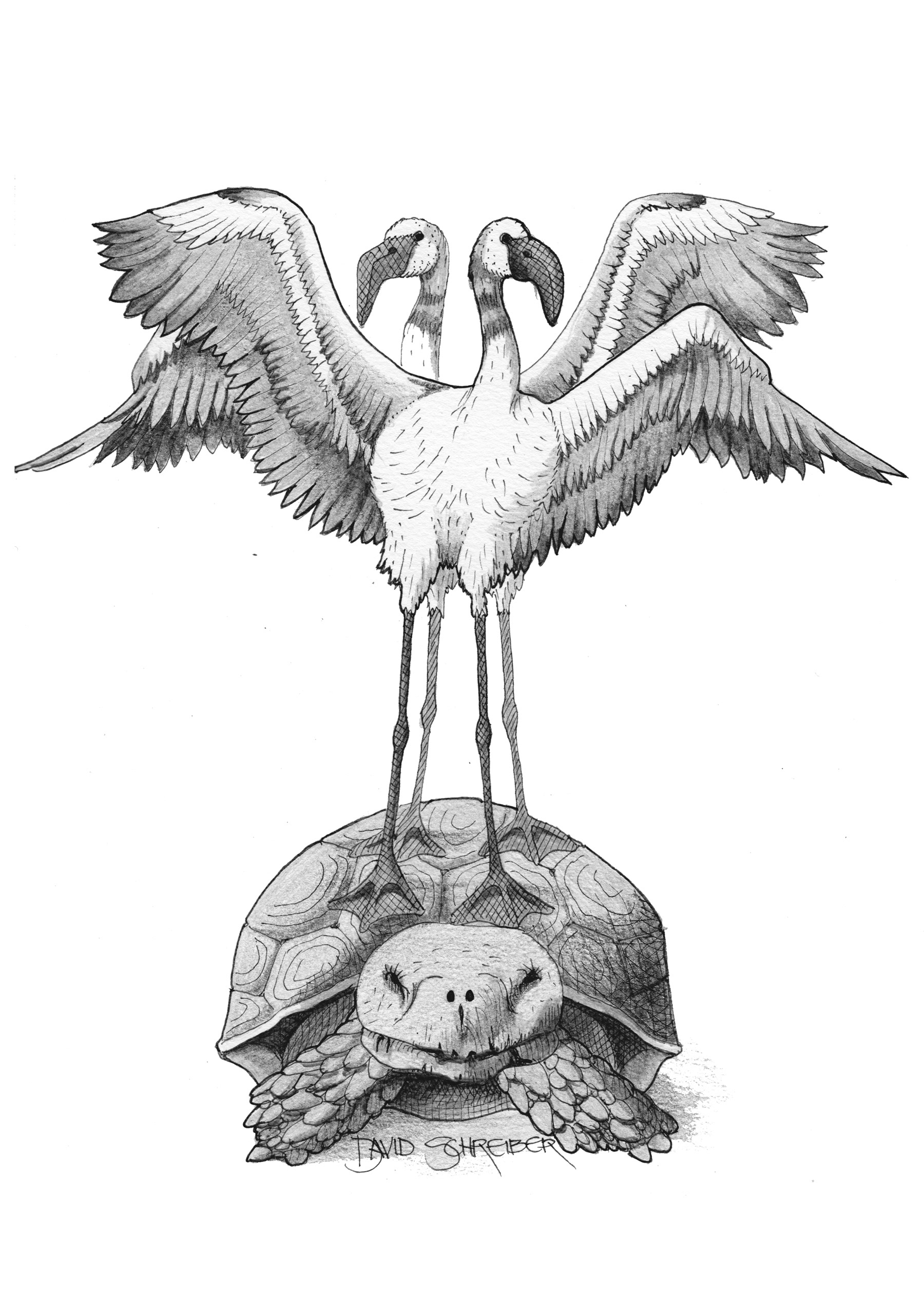 Syncronised Display Team