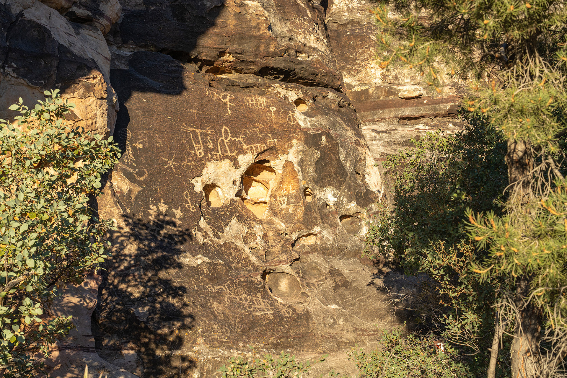 Petroglyph rock carvings dating back about 800 years