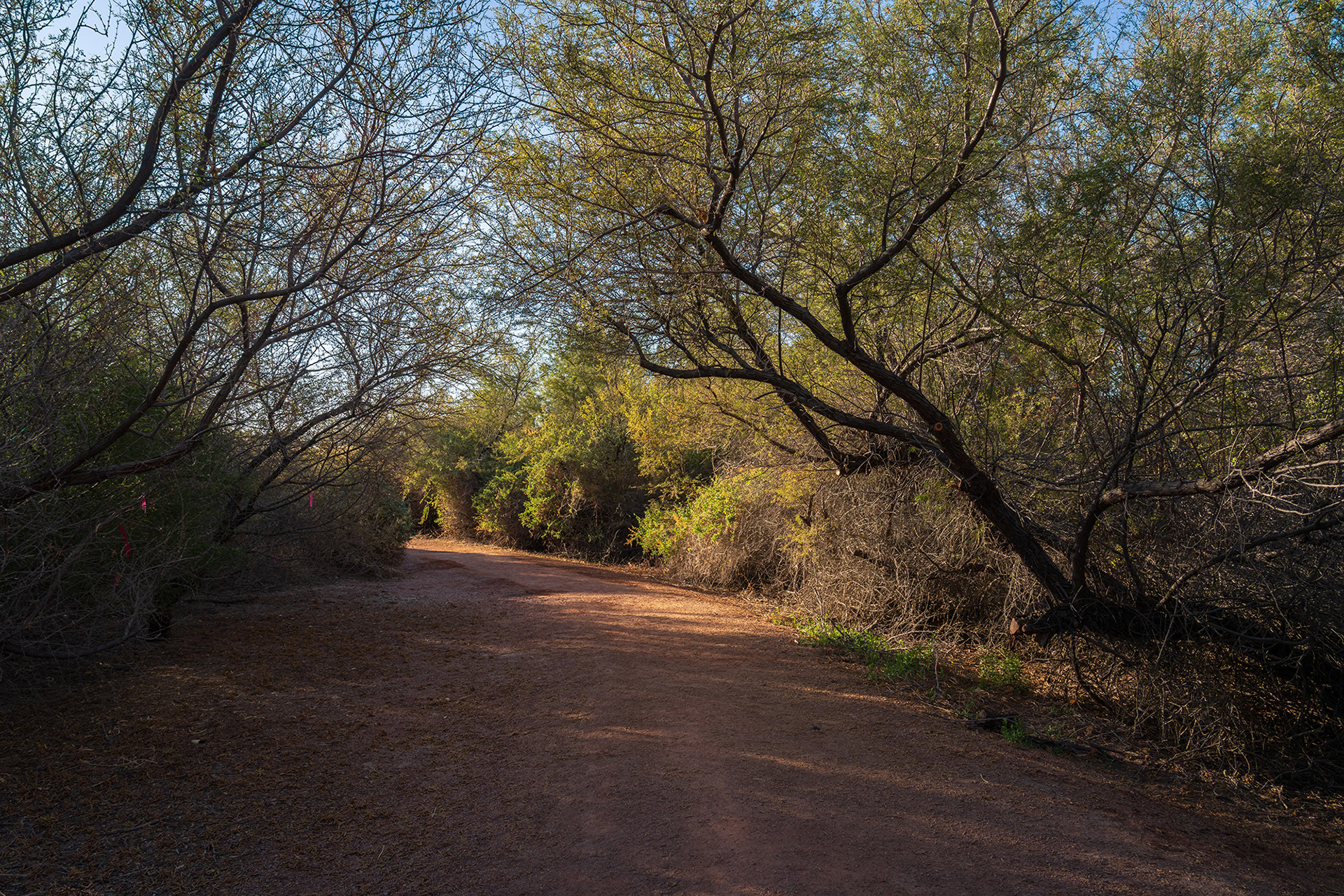 Nevada landscape scene showing autumnal colours of the wetlands park trails