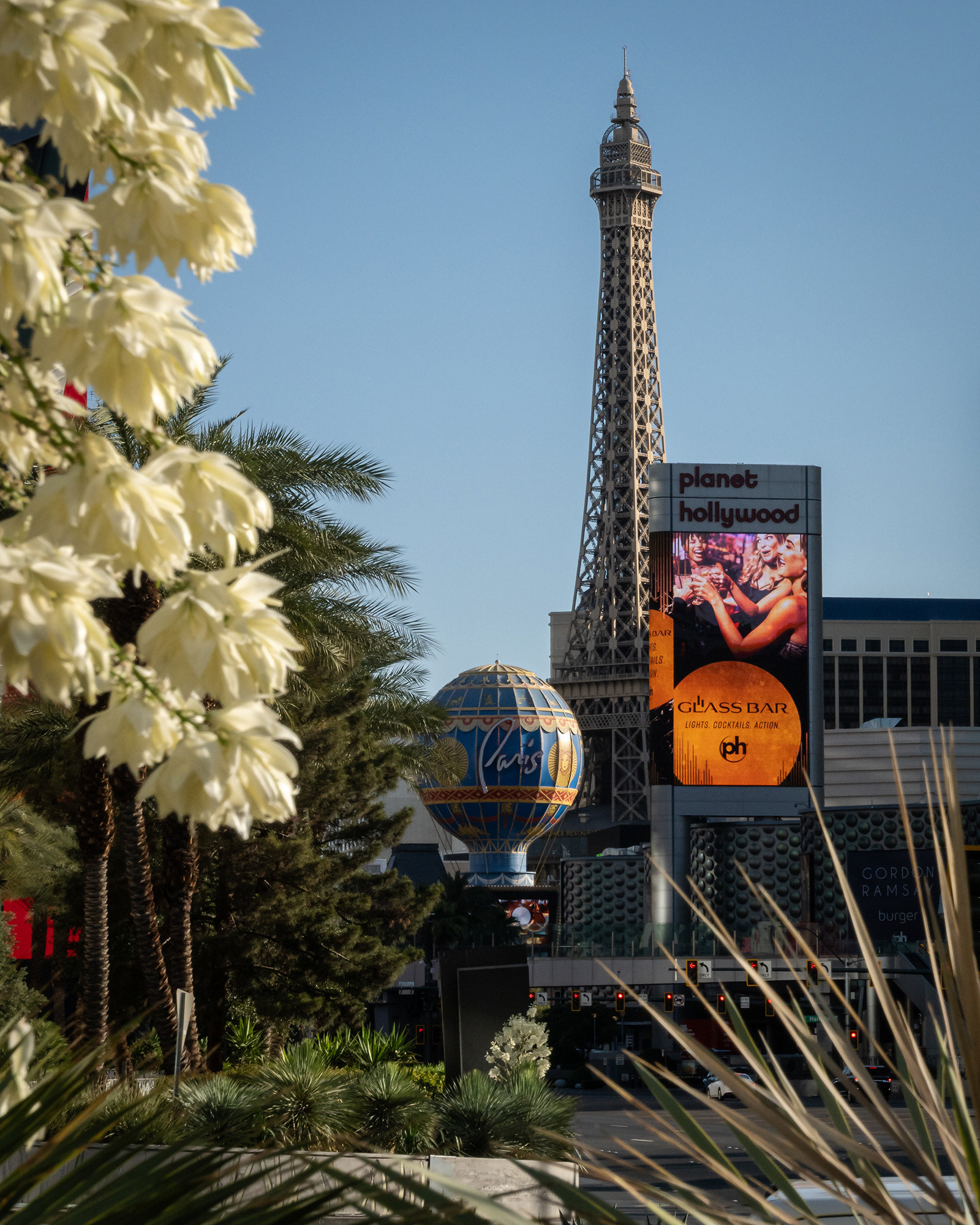 The Paris balloon and Eiffel Tower on Las Vegas Strip framed by spring flowers
