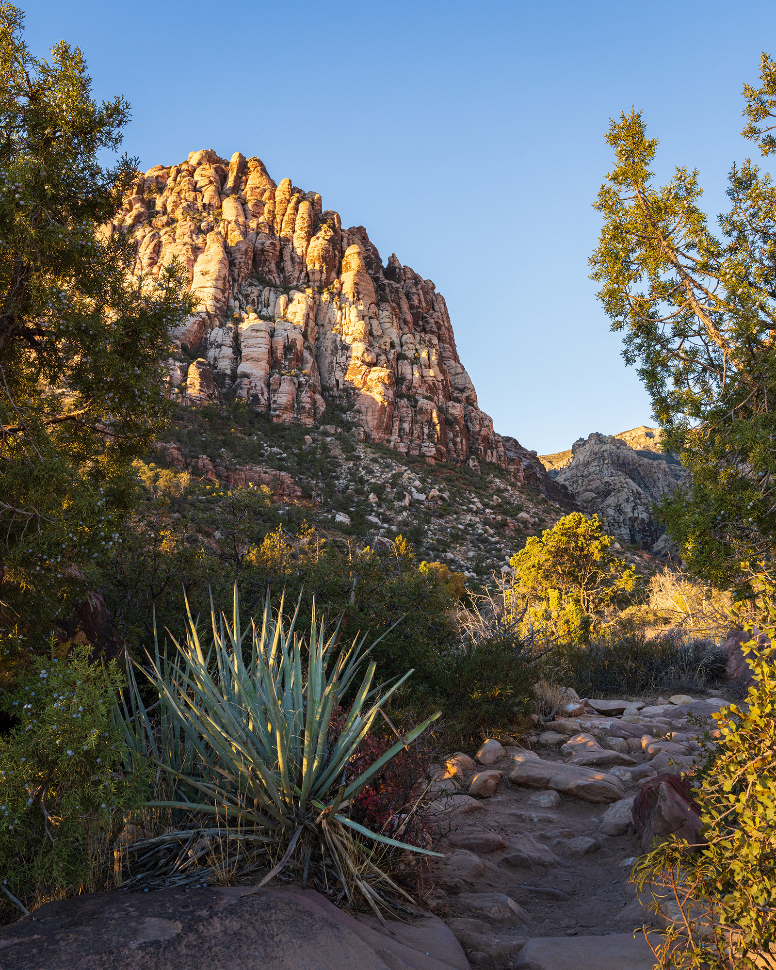 Nevada landscape image showing Pine Creek Canyon in the early morning sunlight