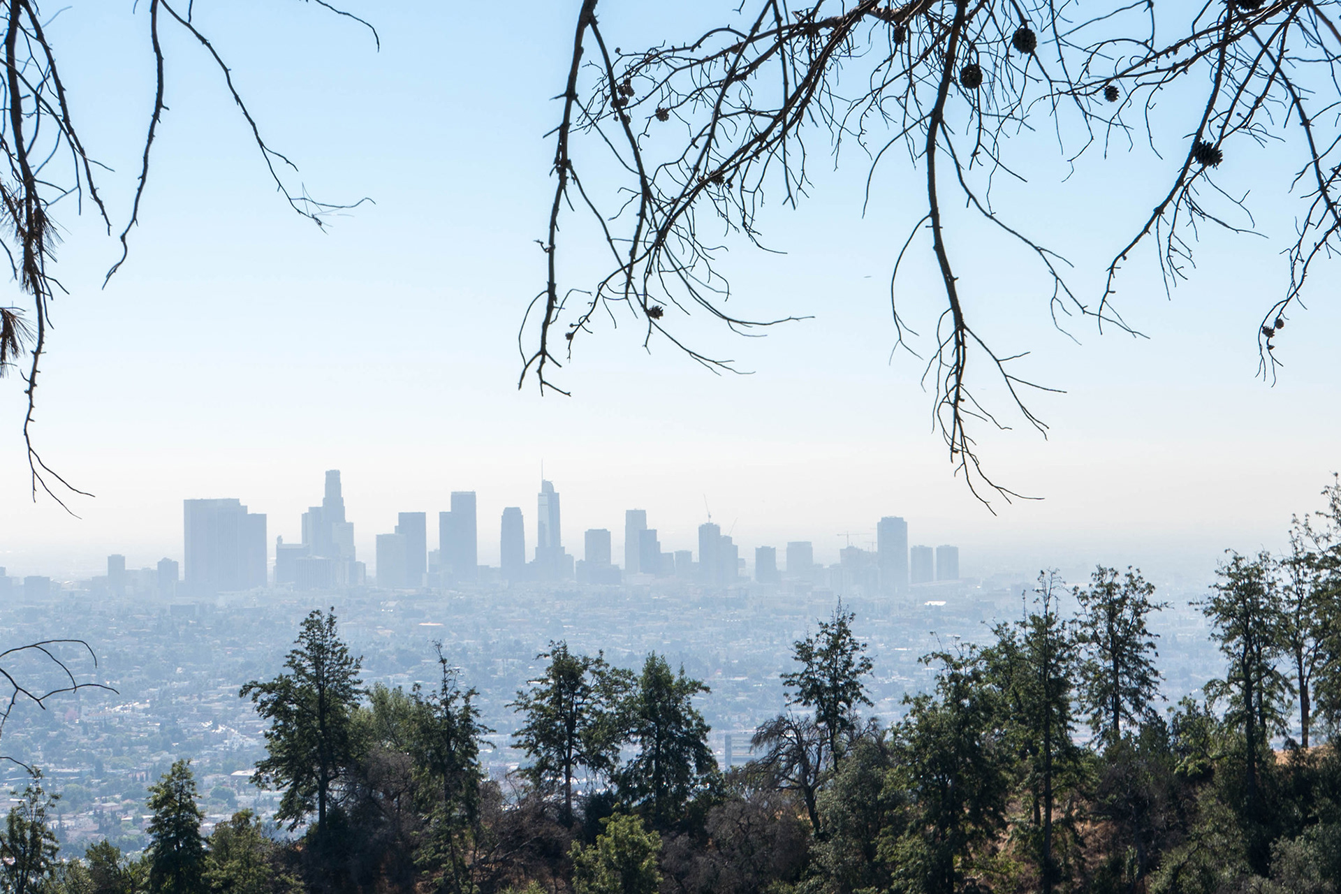 Downtown LA