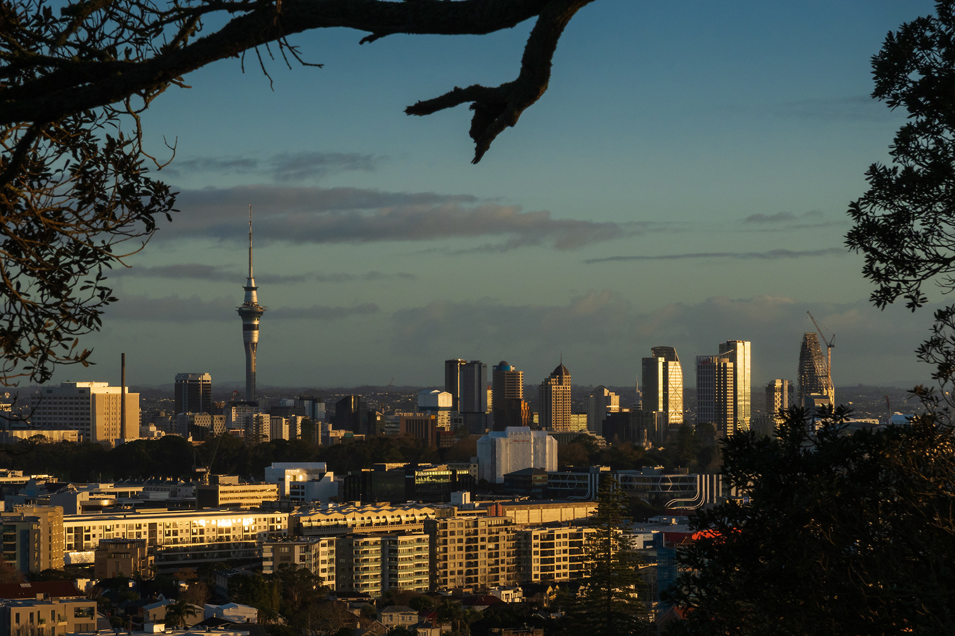 Auckland city buildings in the morning sunshine viewed from Mount Hobson