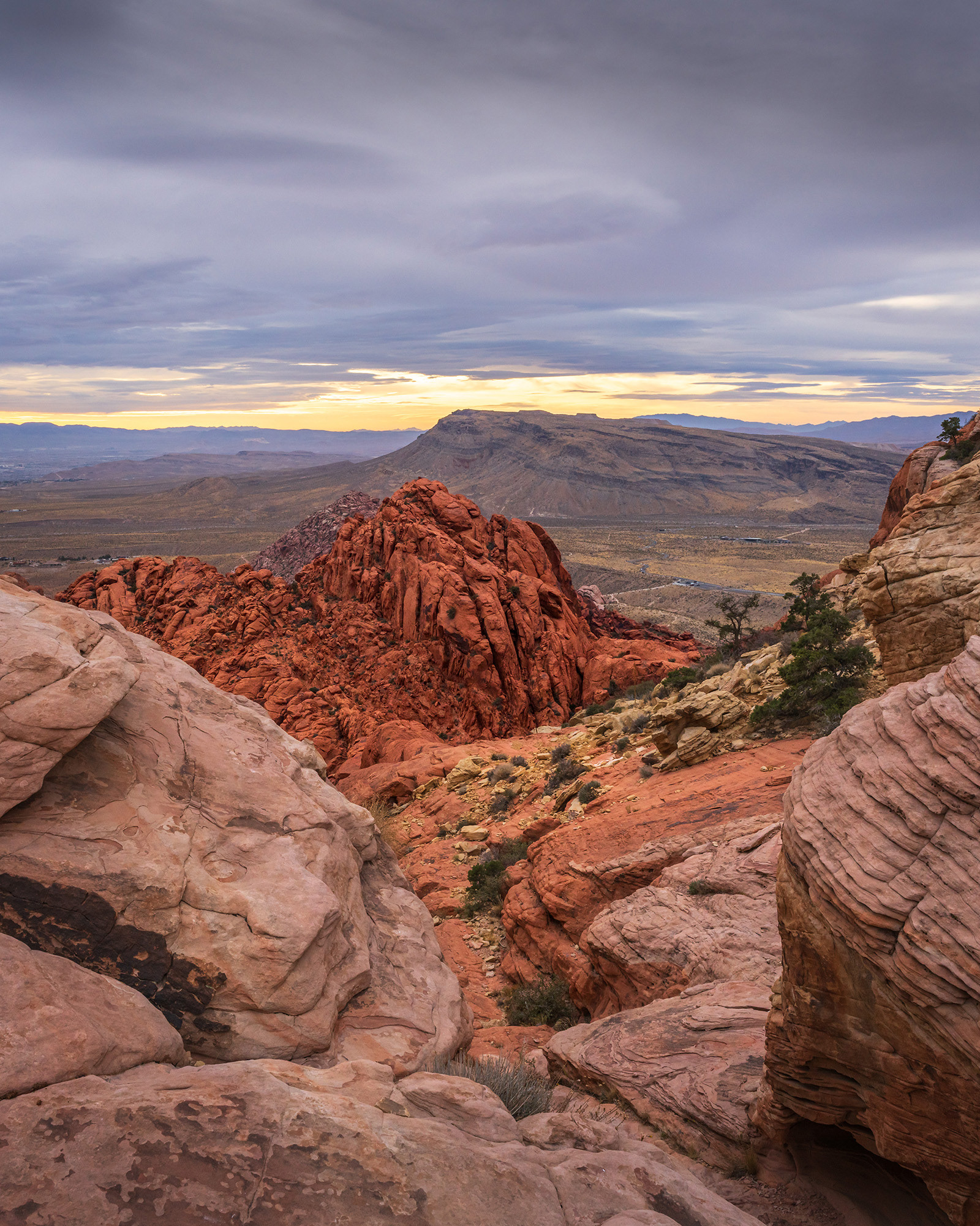 Red Rock Canyon landscape vista showing the red sandstone rocks of the Calico Hills