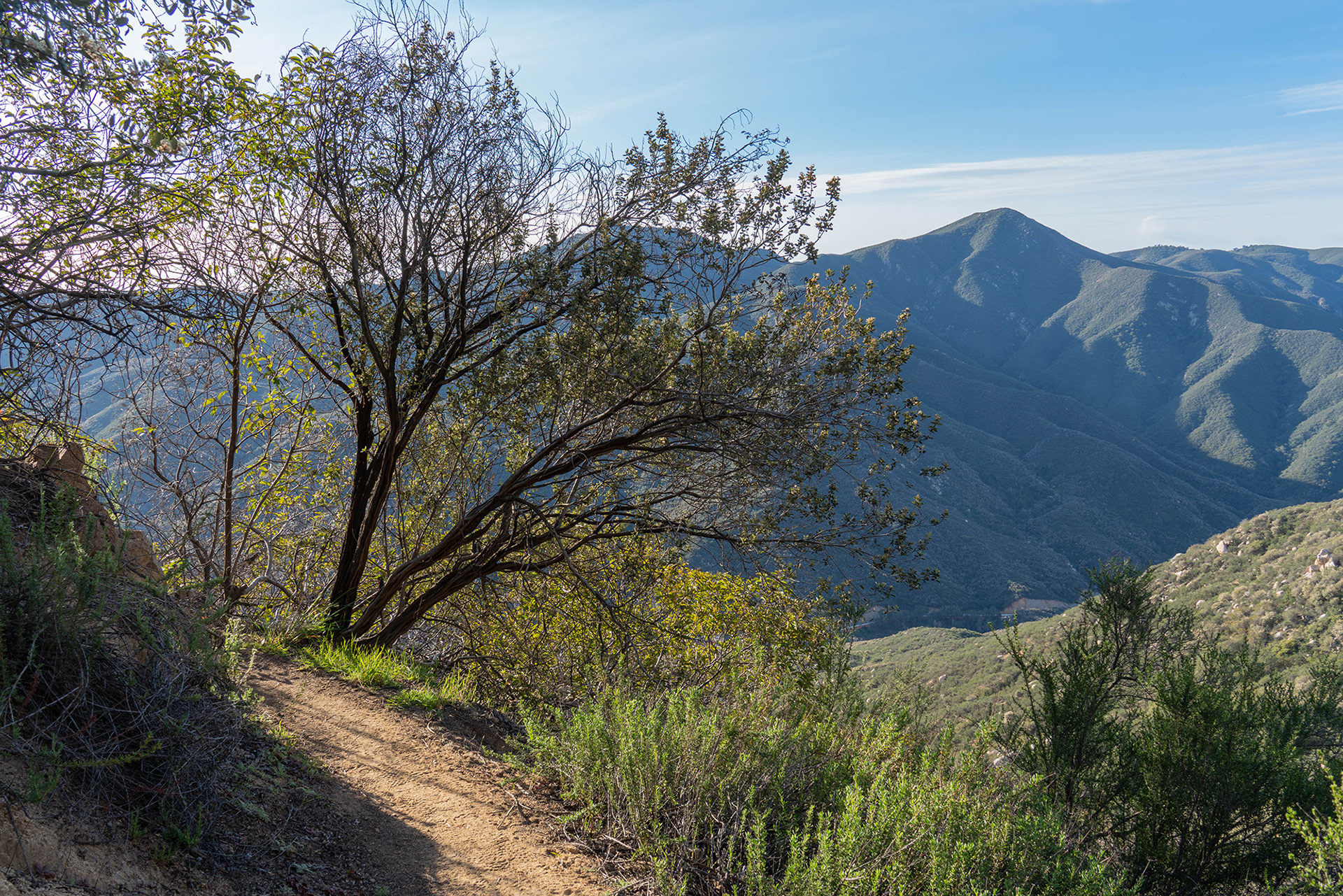 California landscape showing Sitton Peak in the distance