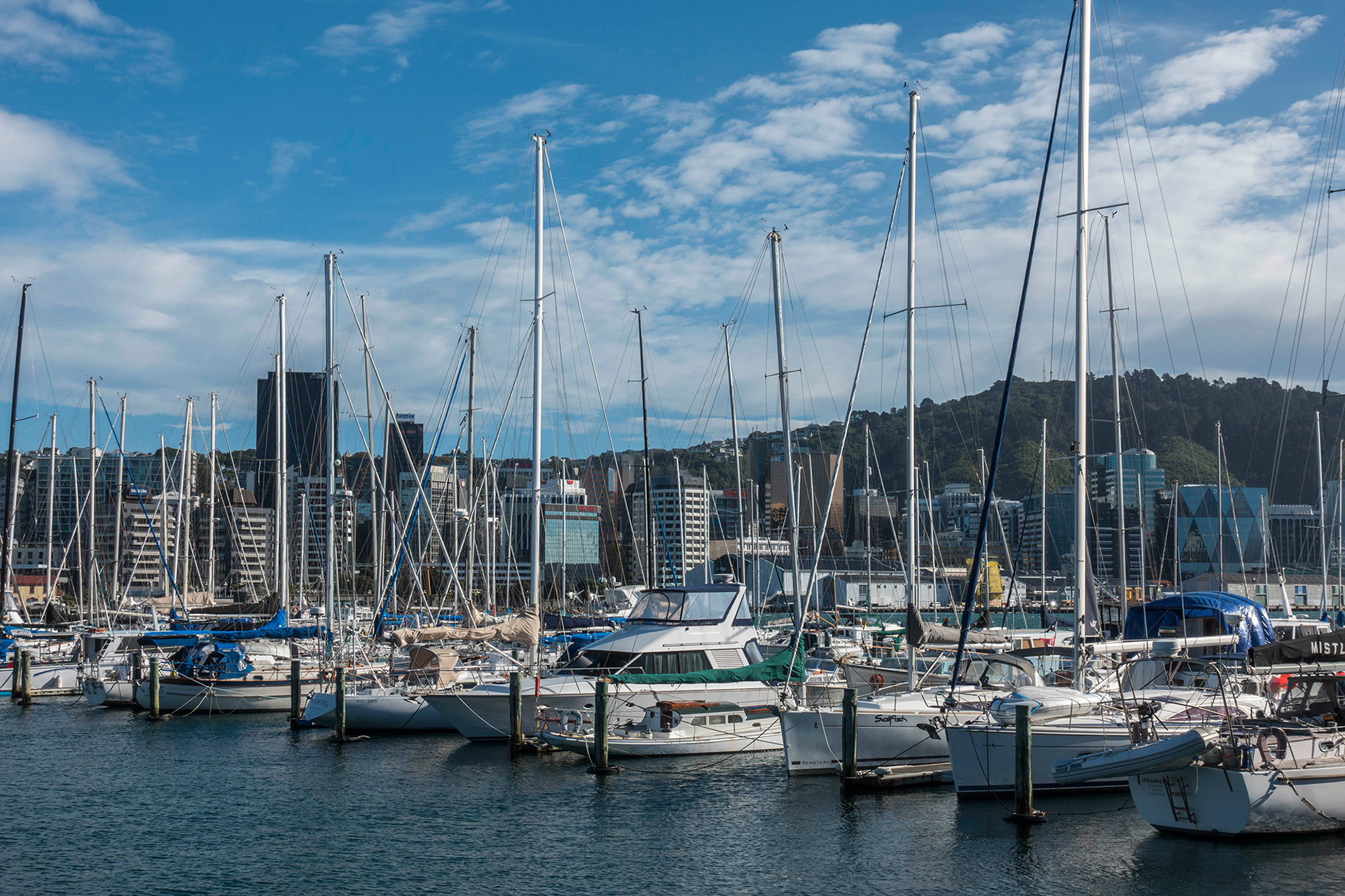Wellington marina