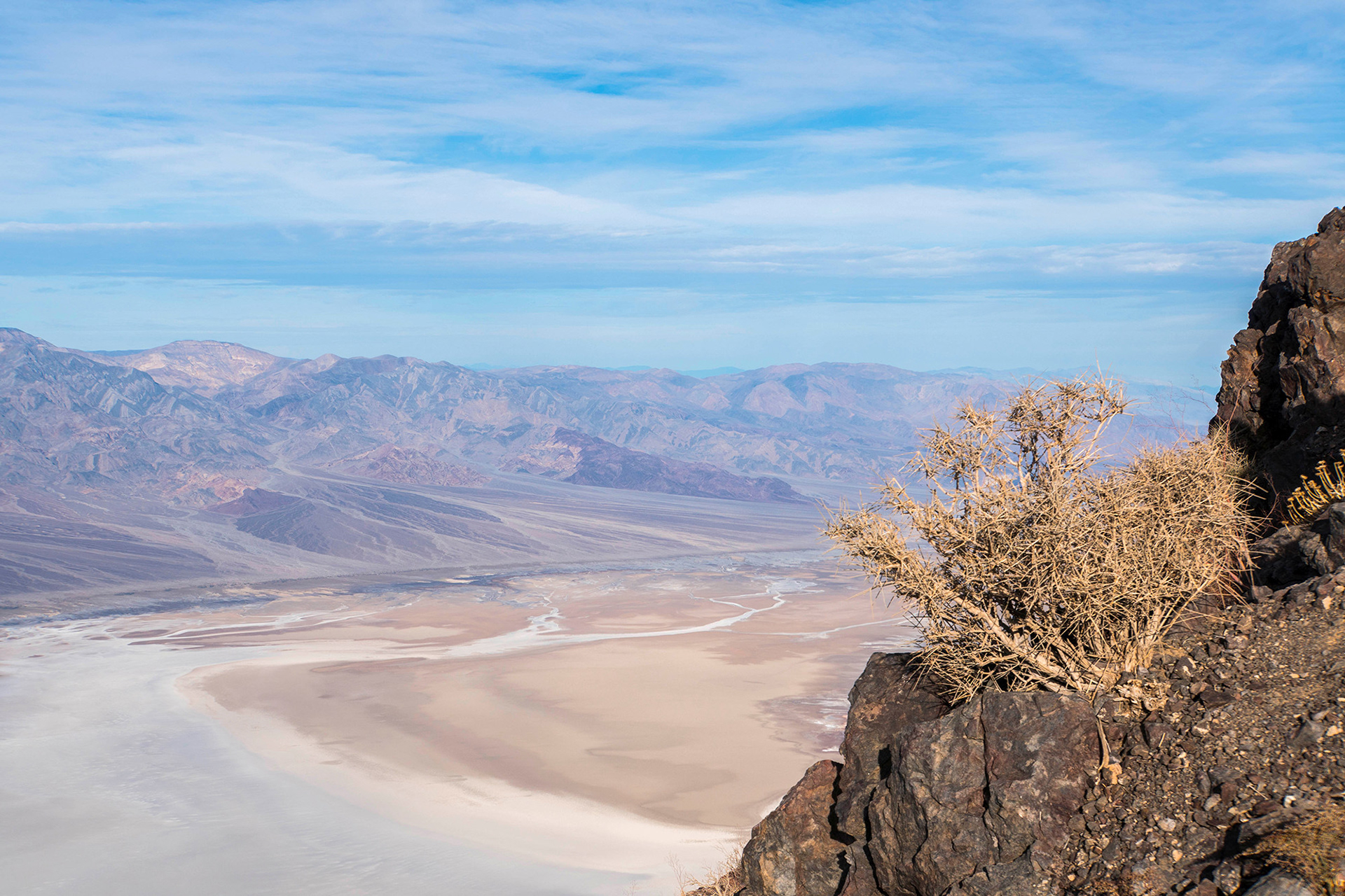 California landscape showing a tree growing on the side of a mountain with a desert valley below