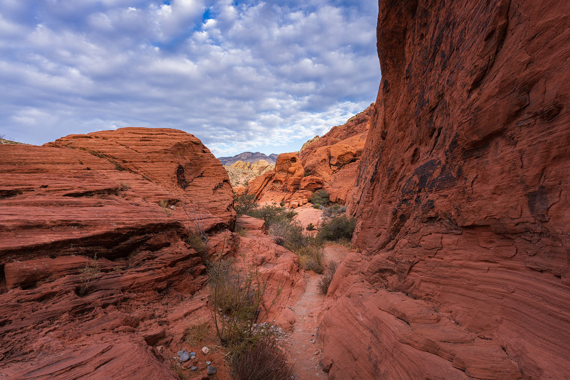 Red Rock Canyon slot trail between tall red sandstone rock formations