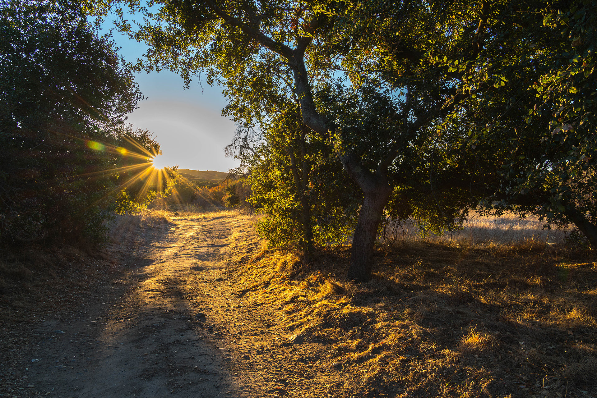 California landscape showing the sunrise on a trail