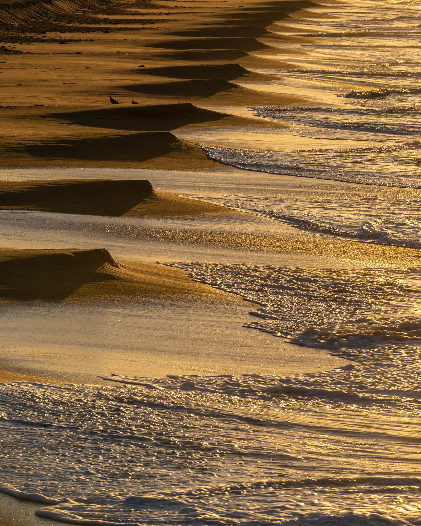 Detailed seascape image of California beach at dawn