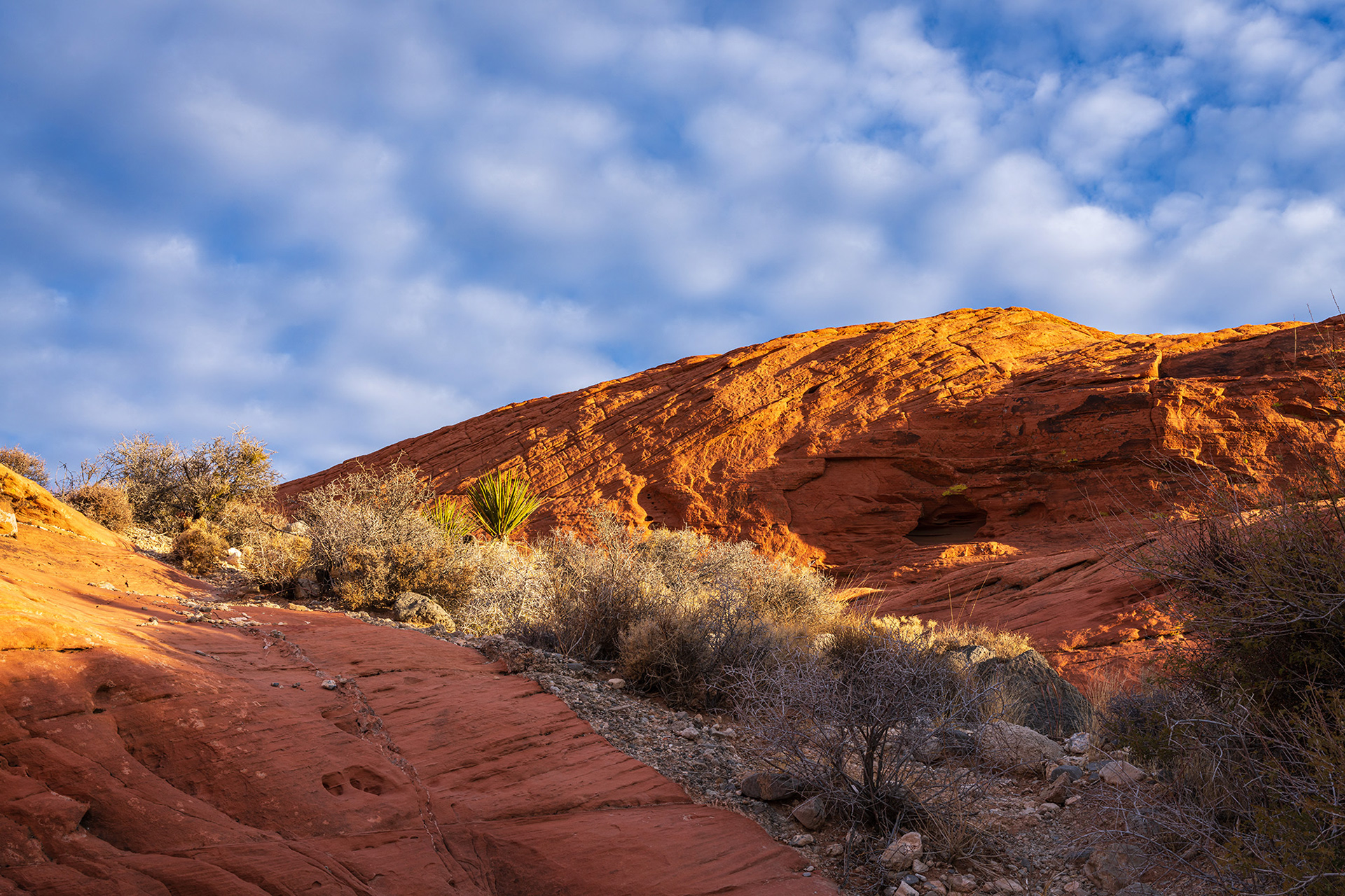Red Aztec sandstone rock formations in the early morning sun in Red Rock Canyon