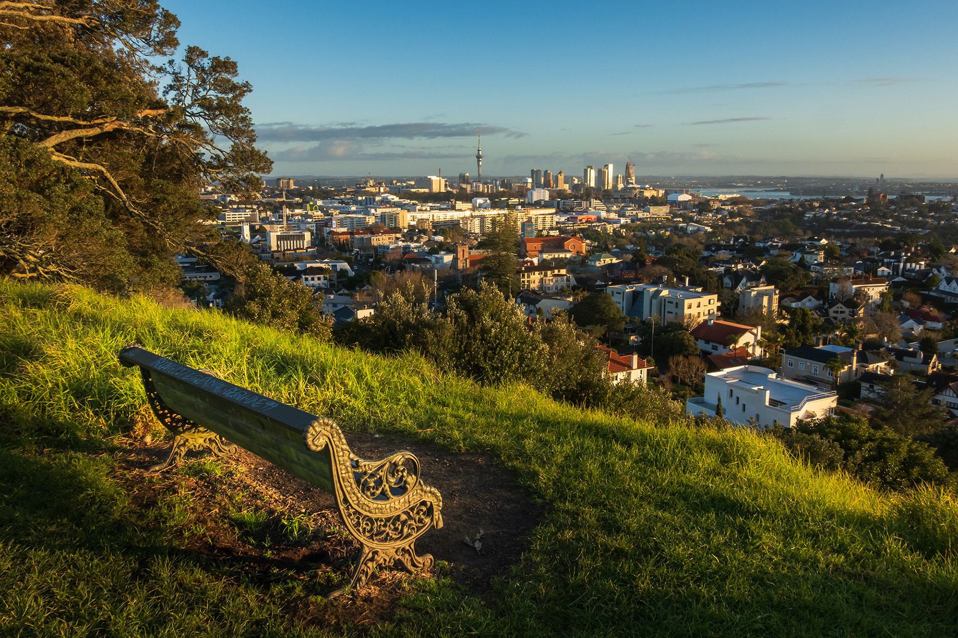 Morning view of Auckland city centre taken from one of the many volcanoes in the area