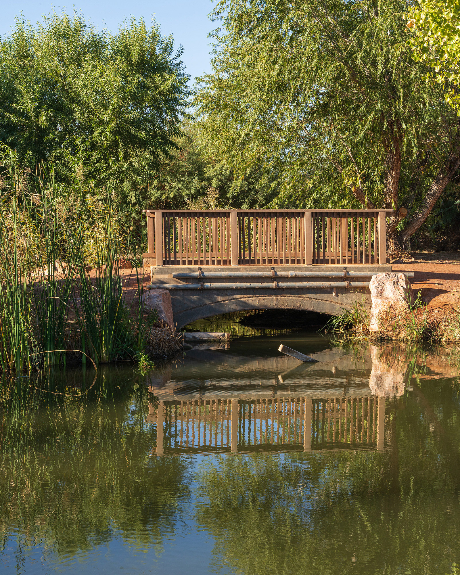 Wetlands park pond with a footbridge in the distance