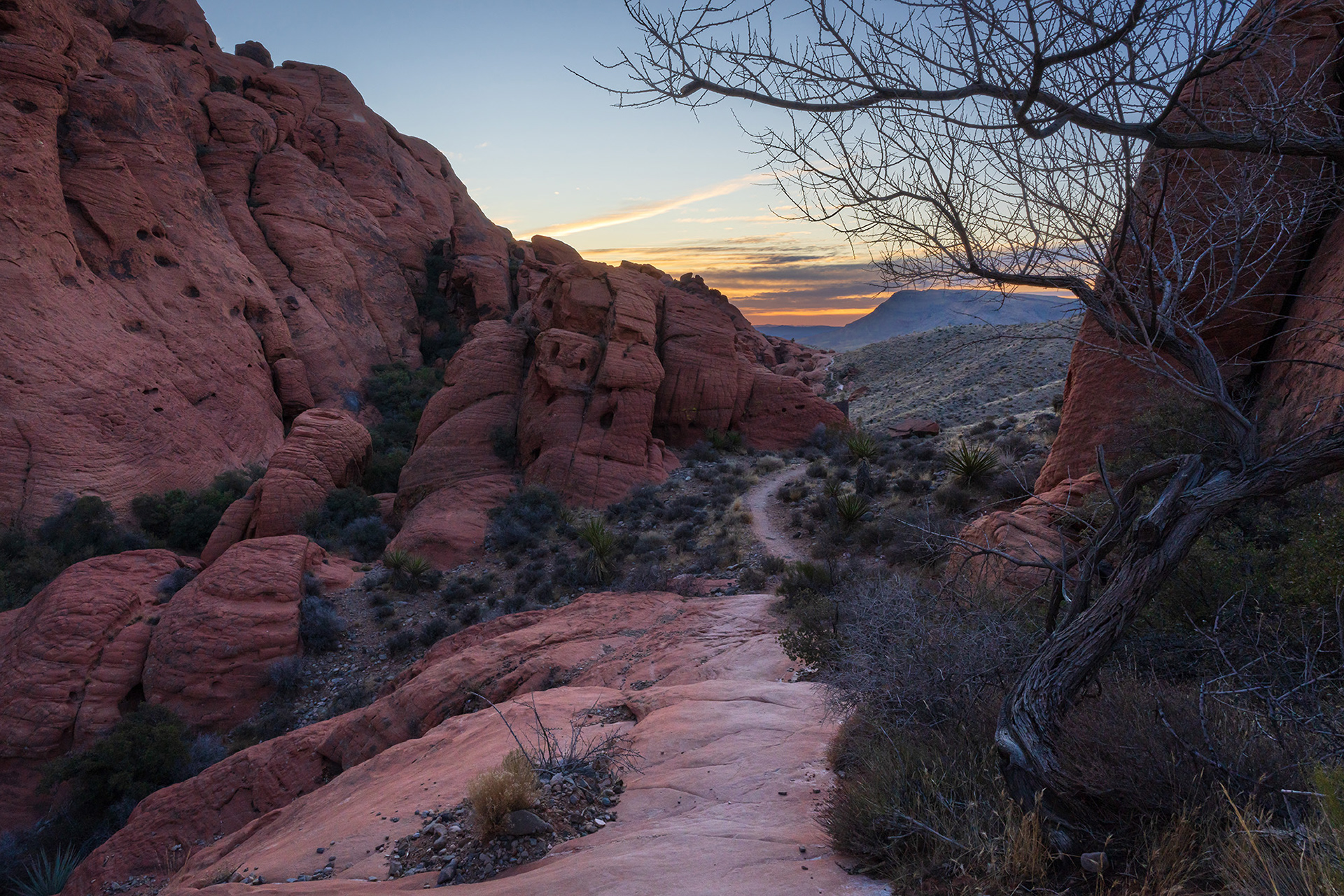 Nevada landscape image showing the trail by the red rocks of the Calico Hills