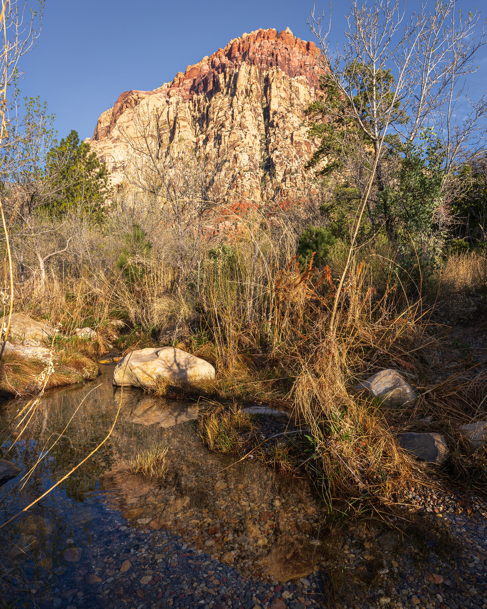 Rainbow Mountain reflected in the waters of a spring on a clear sunny morning in Red Rock Canyon