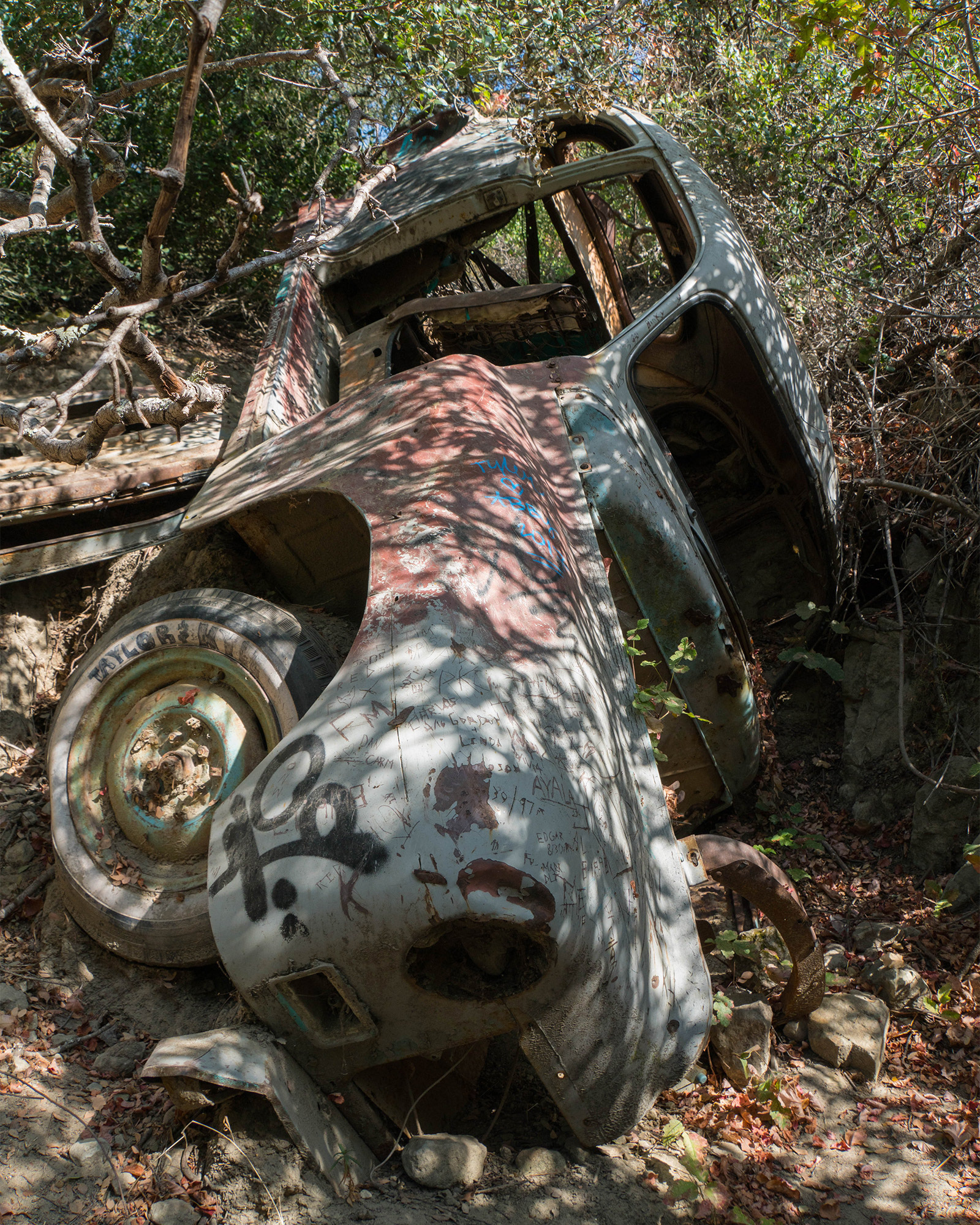 California landscape showing an old wrecked car on a wooded trail