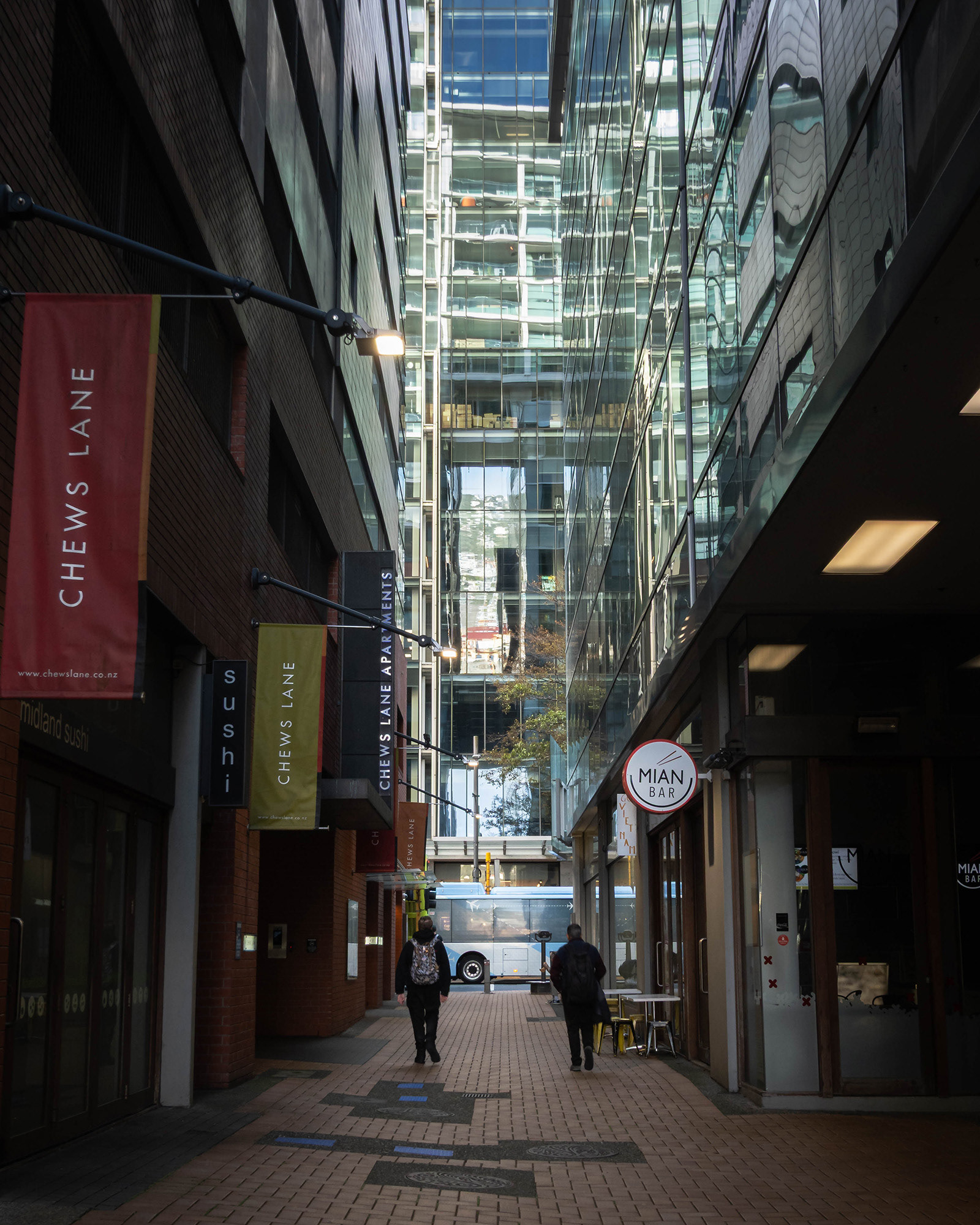 Wellington pedestrian alley with the side buildings reflecting the modern architecture
