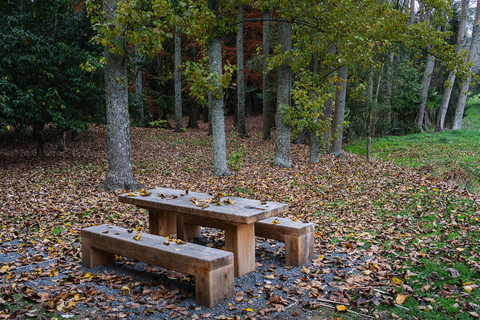 Picnic table covered in autumn leaves reminds us that the summer is now a distant memory