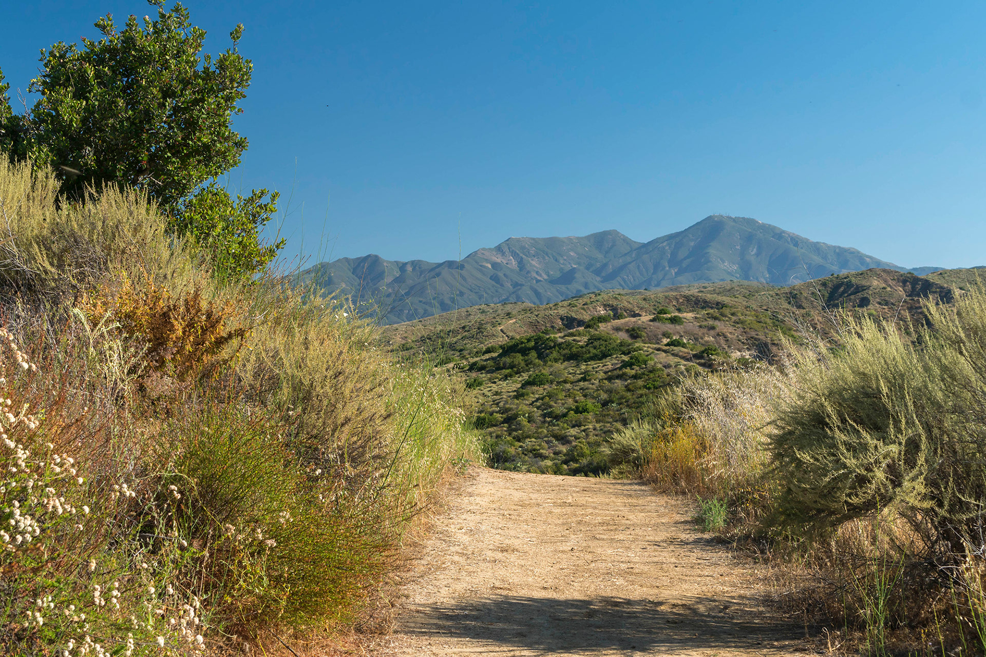 California landscape of the brow of a hill with the Saddleback mountains in the distance