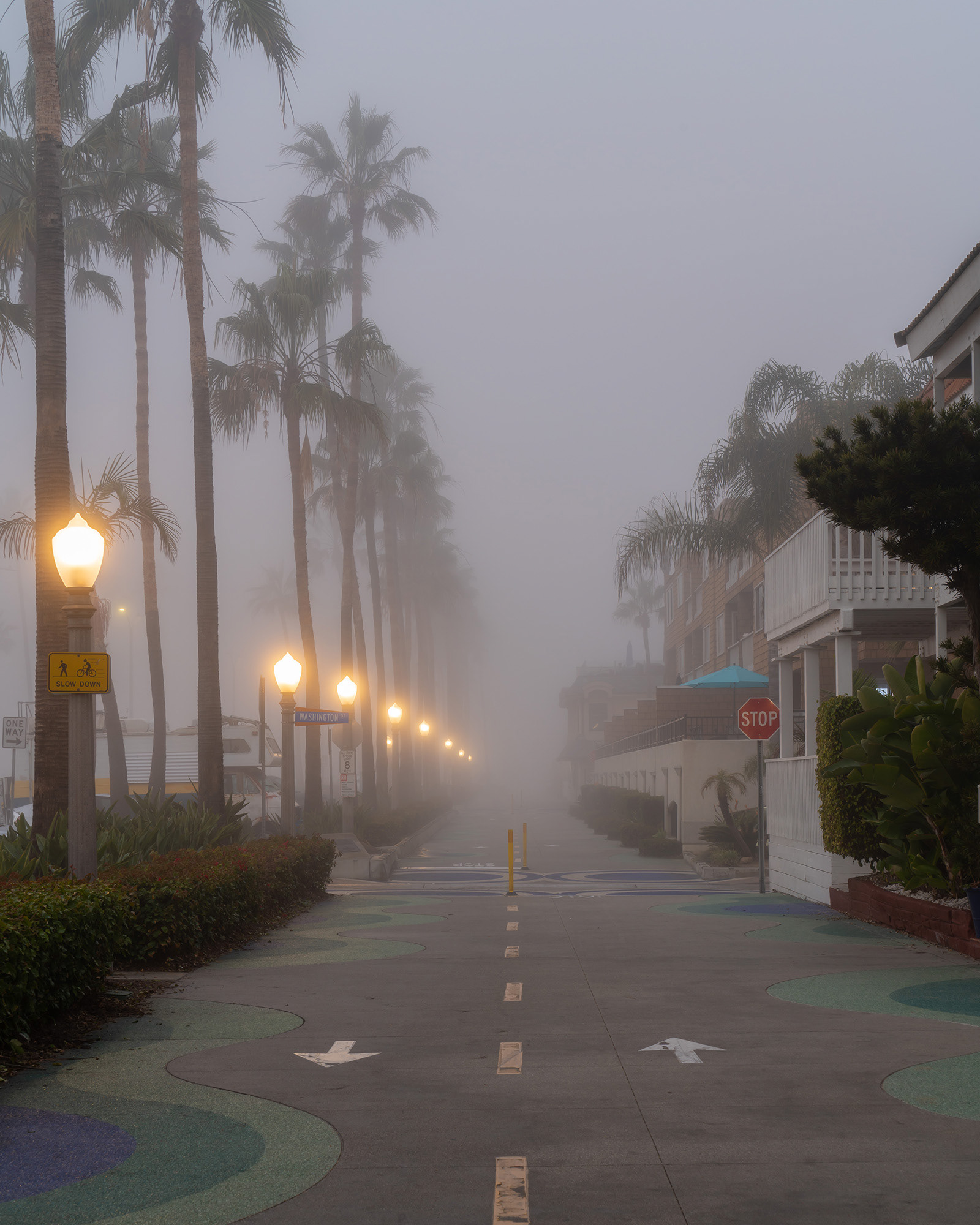 Foggy ocean front trail