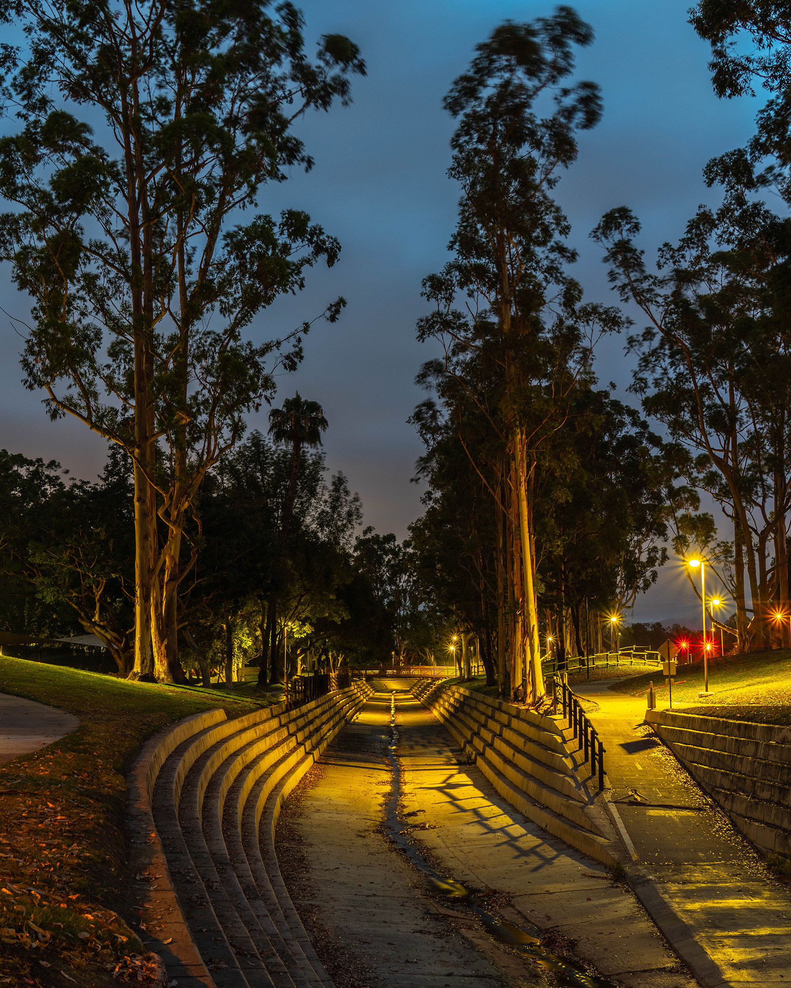 Creek in the park