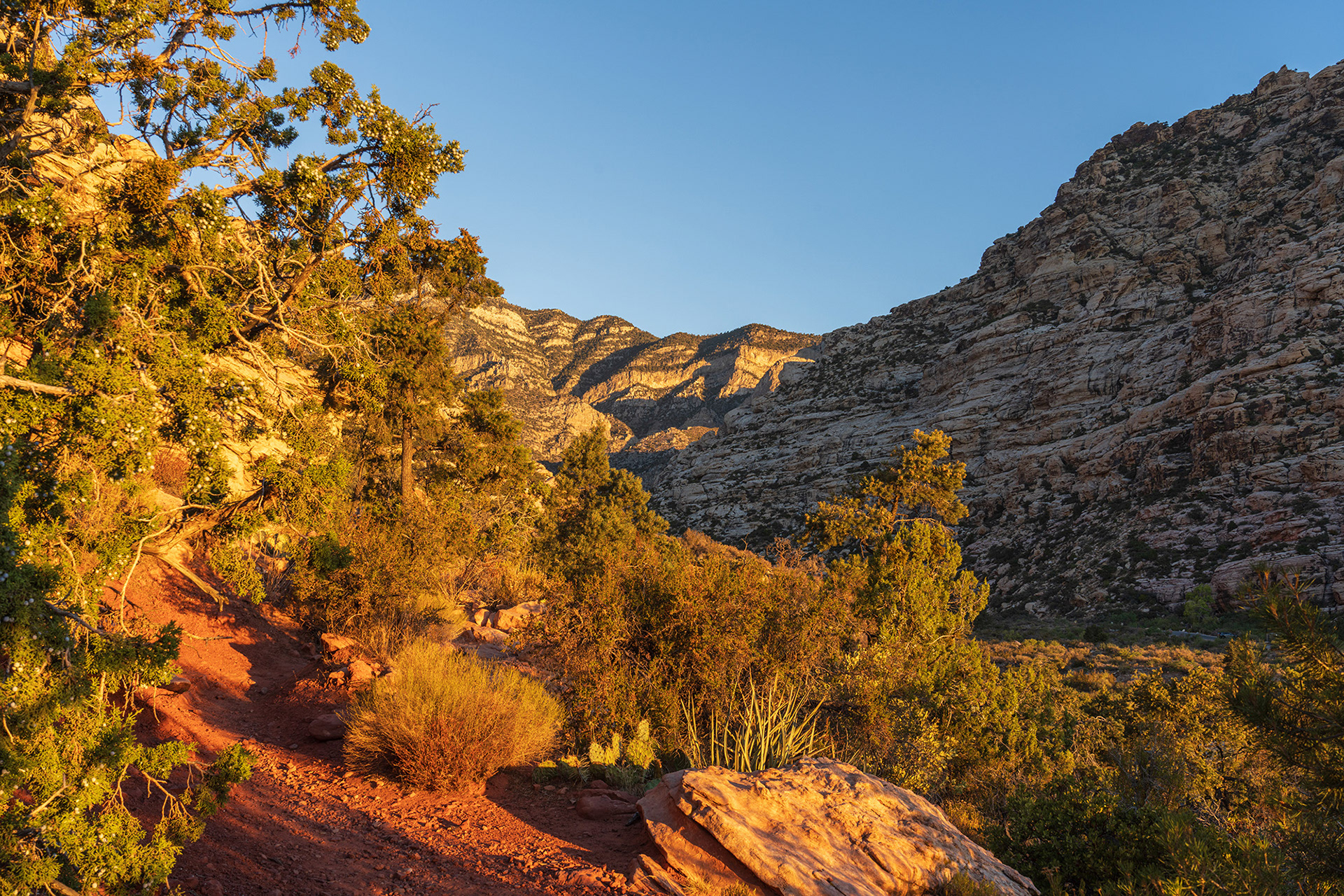 The landscape is surprisingly verdant given the extreme temperatures endured this summer