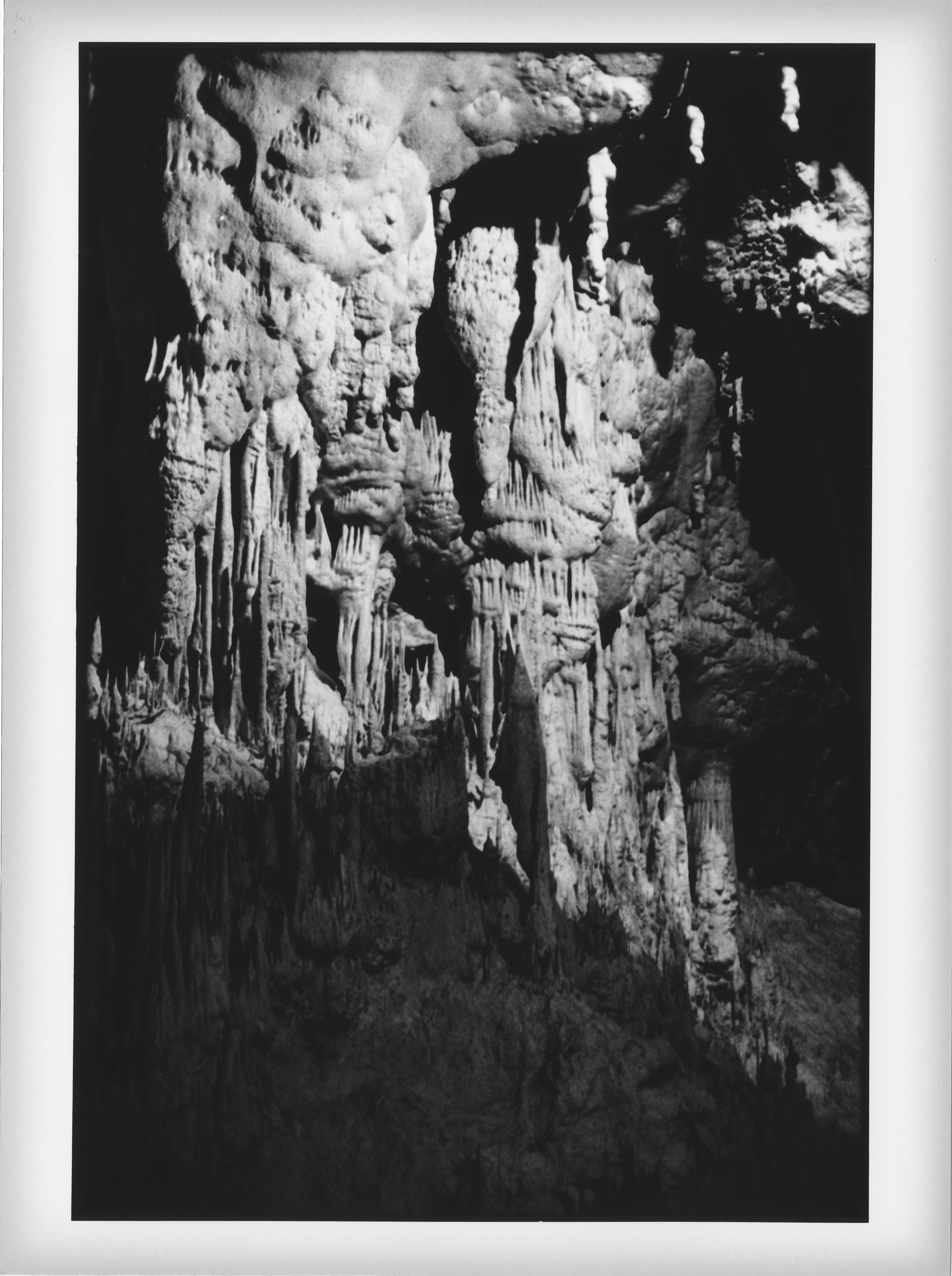 Postojna Cave, Slovenia, September 2024.