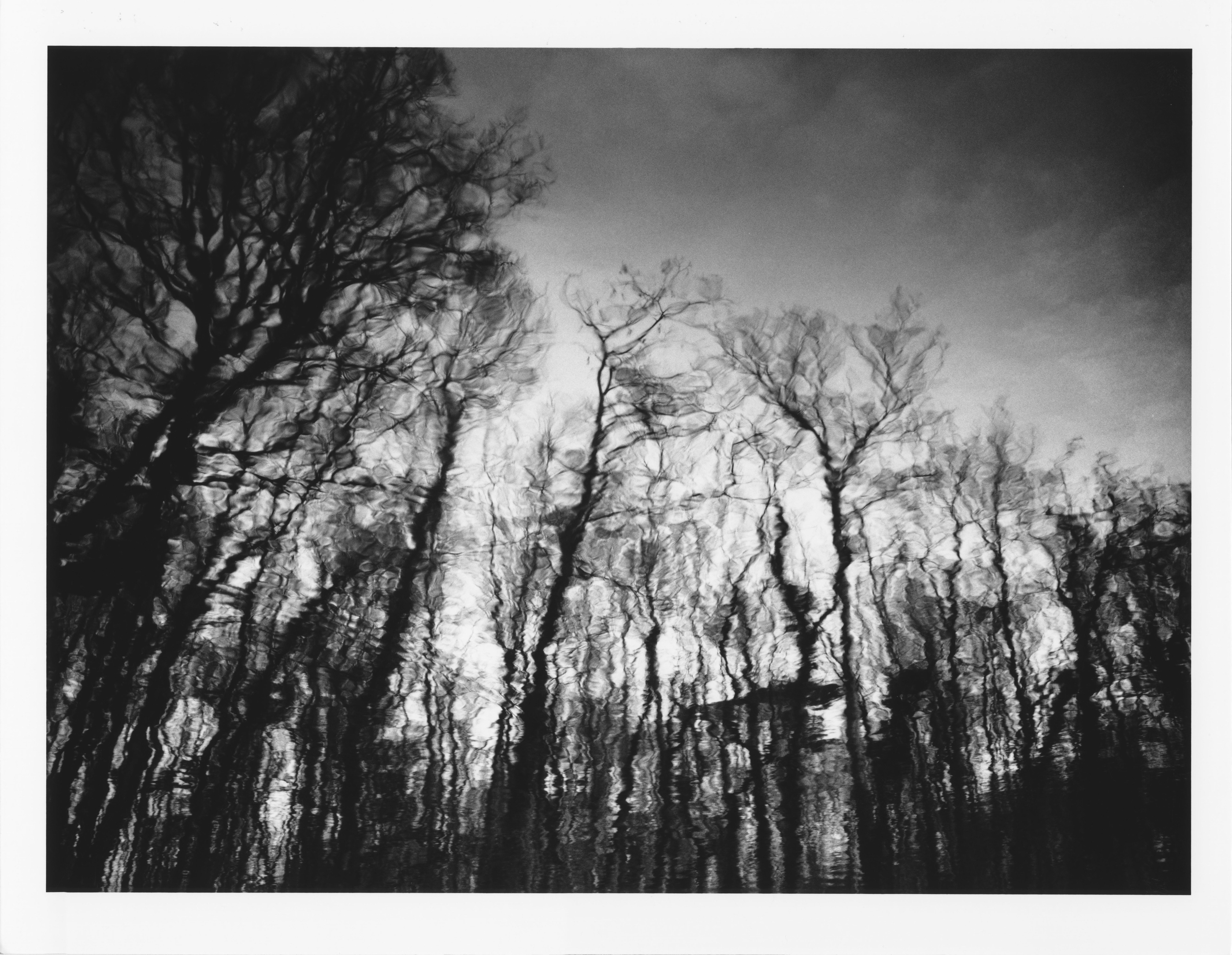 Bois de Vincennes, France, January 2026.