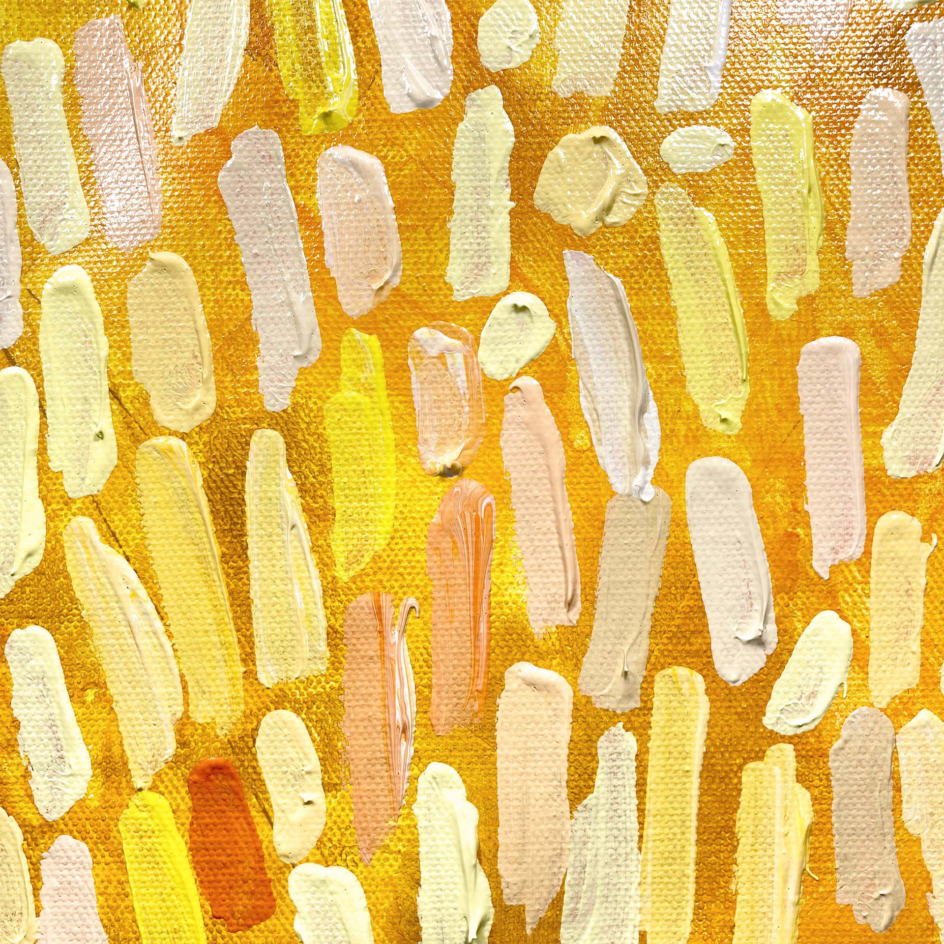 Details / Texture