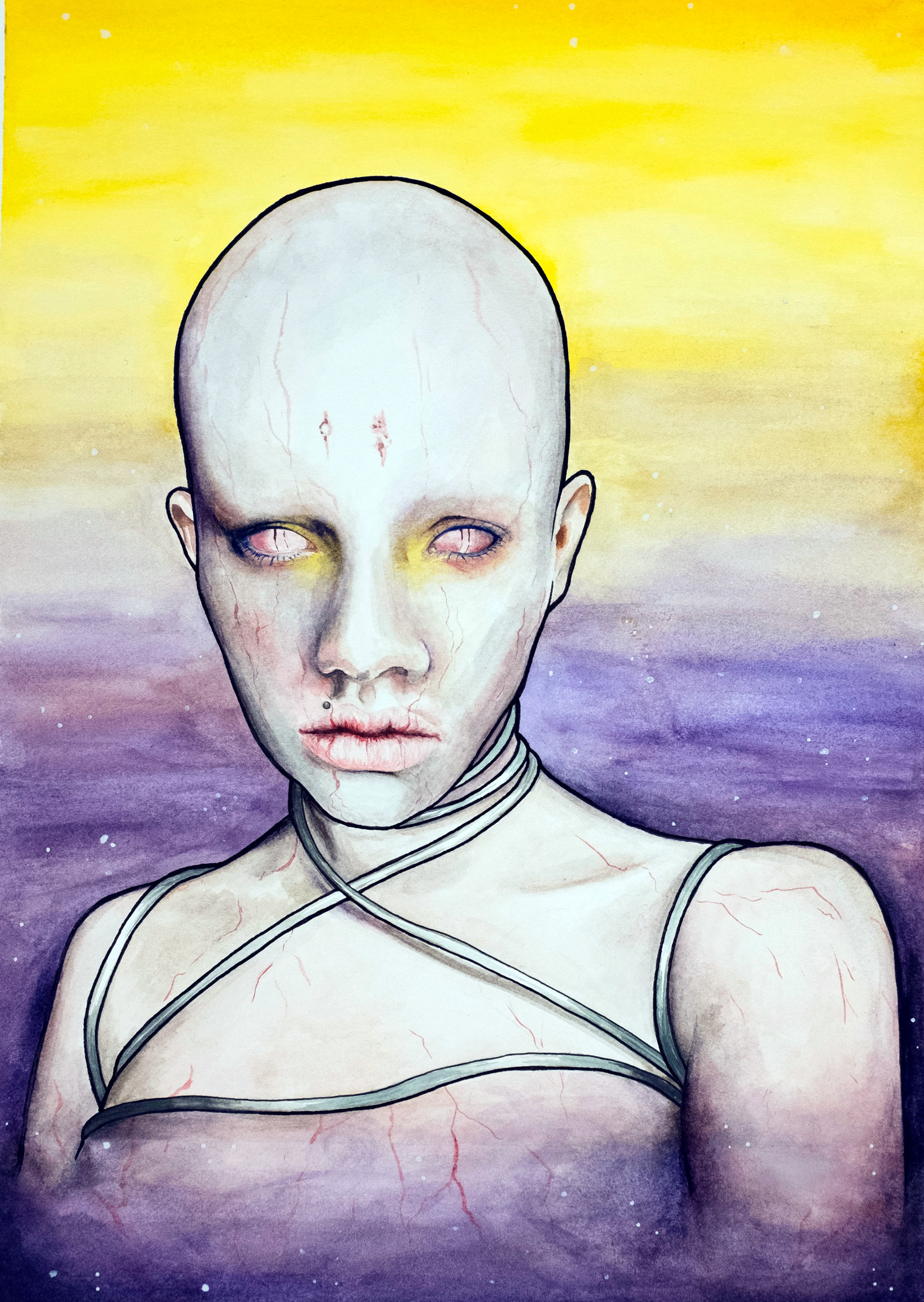 @materialfecales, 2017