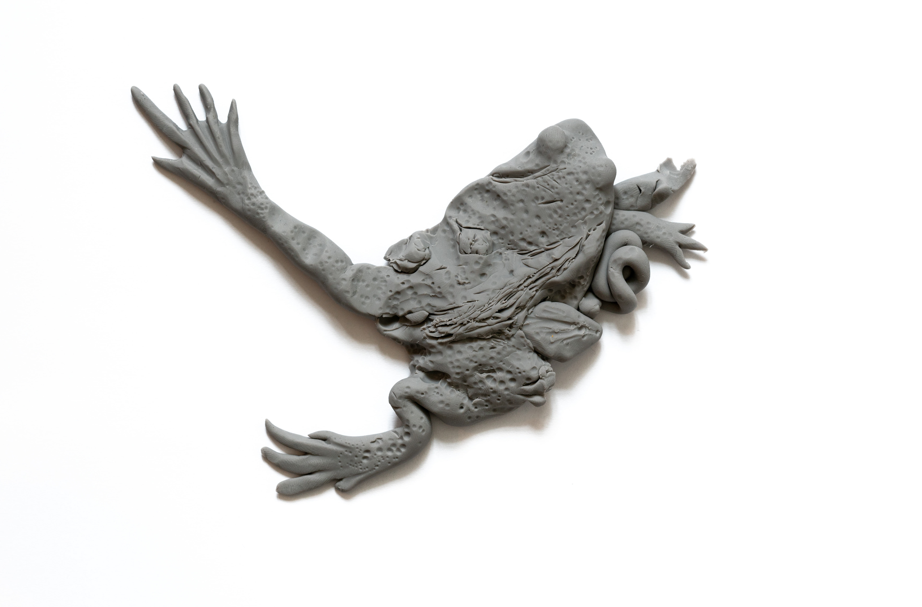 Dead frog sculpture 01