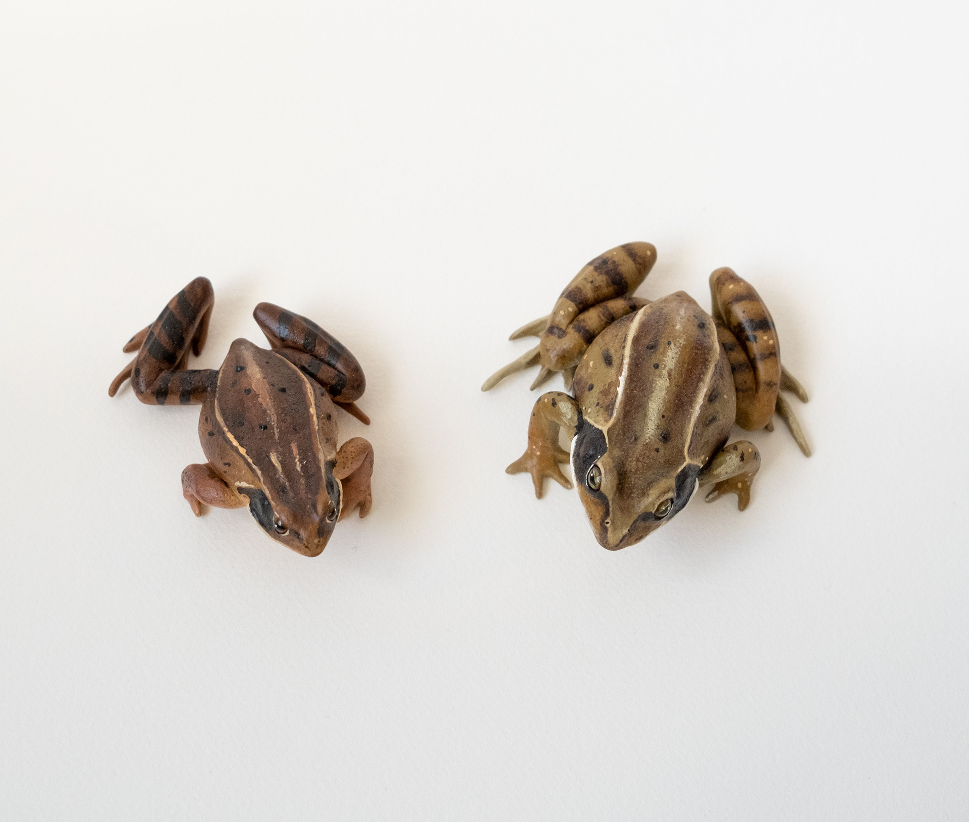 Females