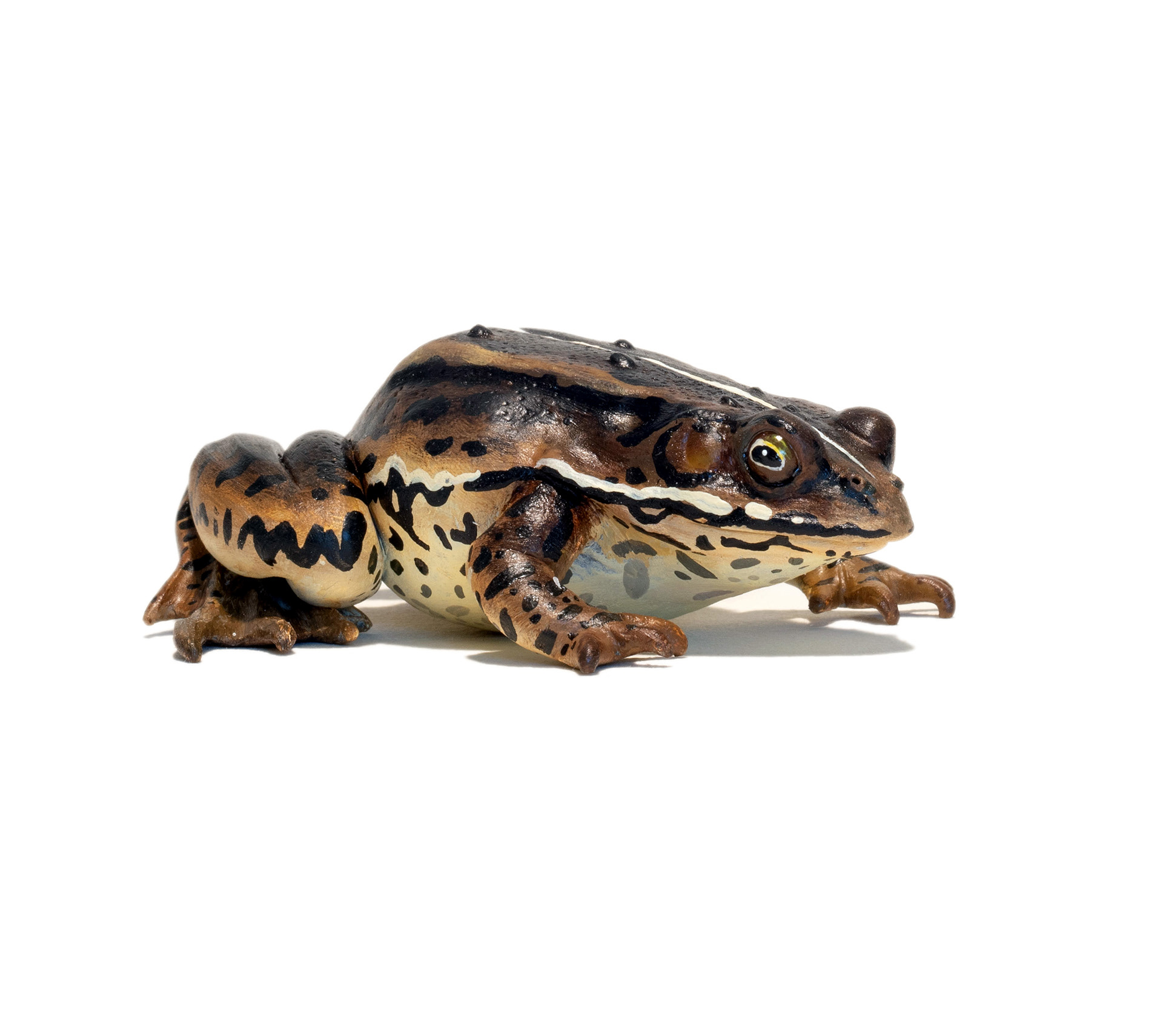 Hand sculpted pool frog, 2023