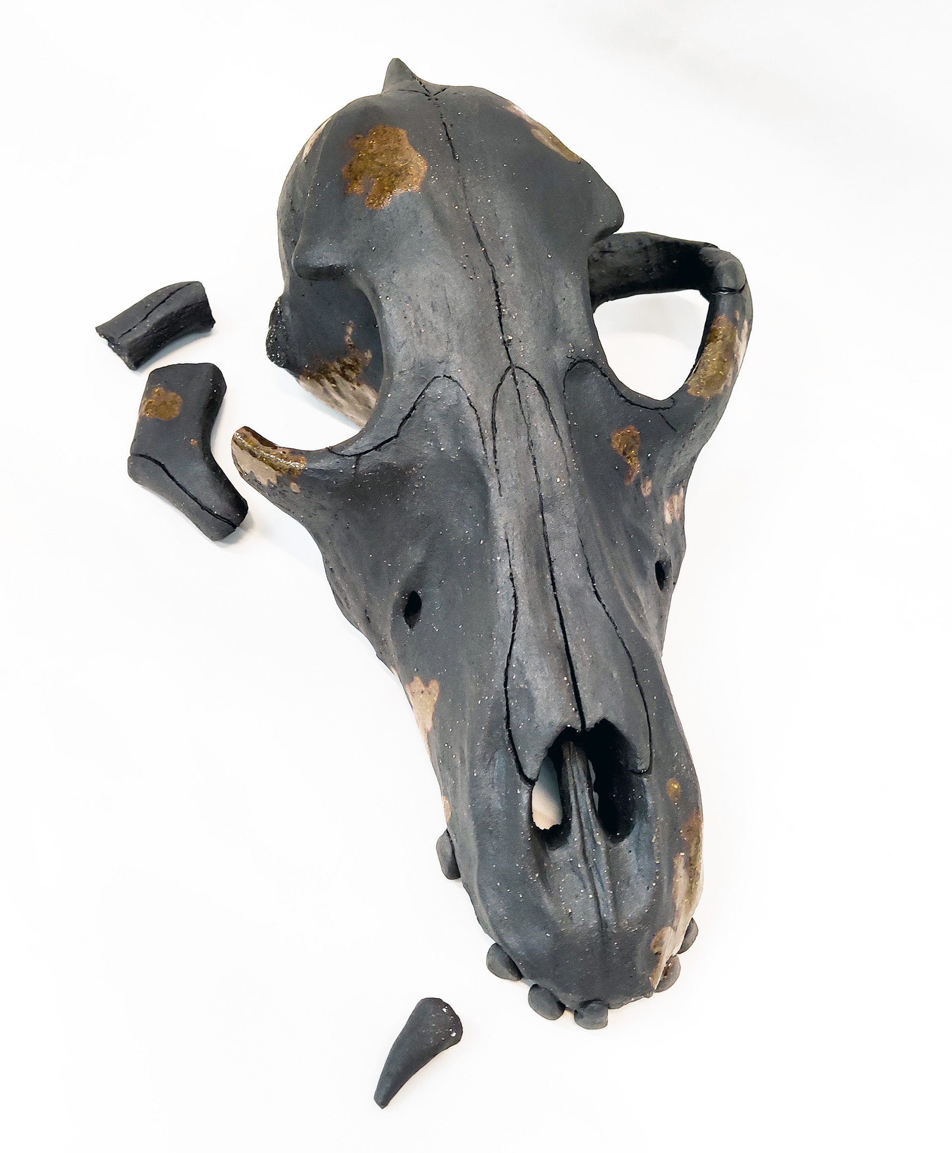 Ceramic dog skull