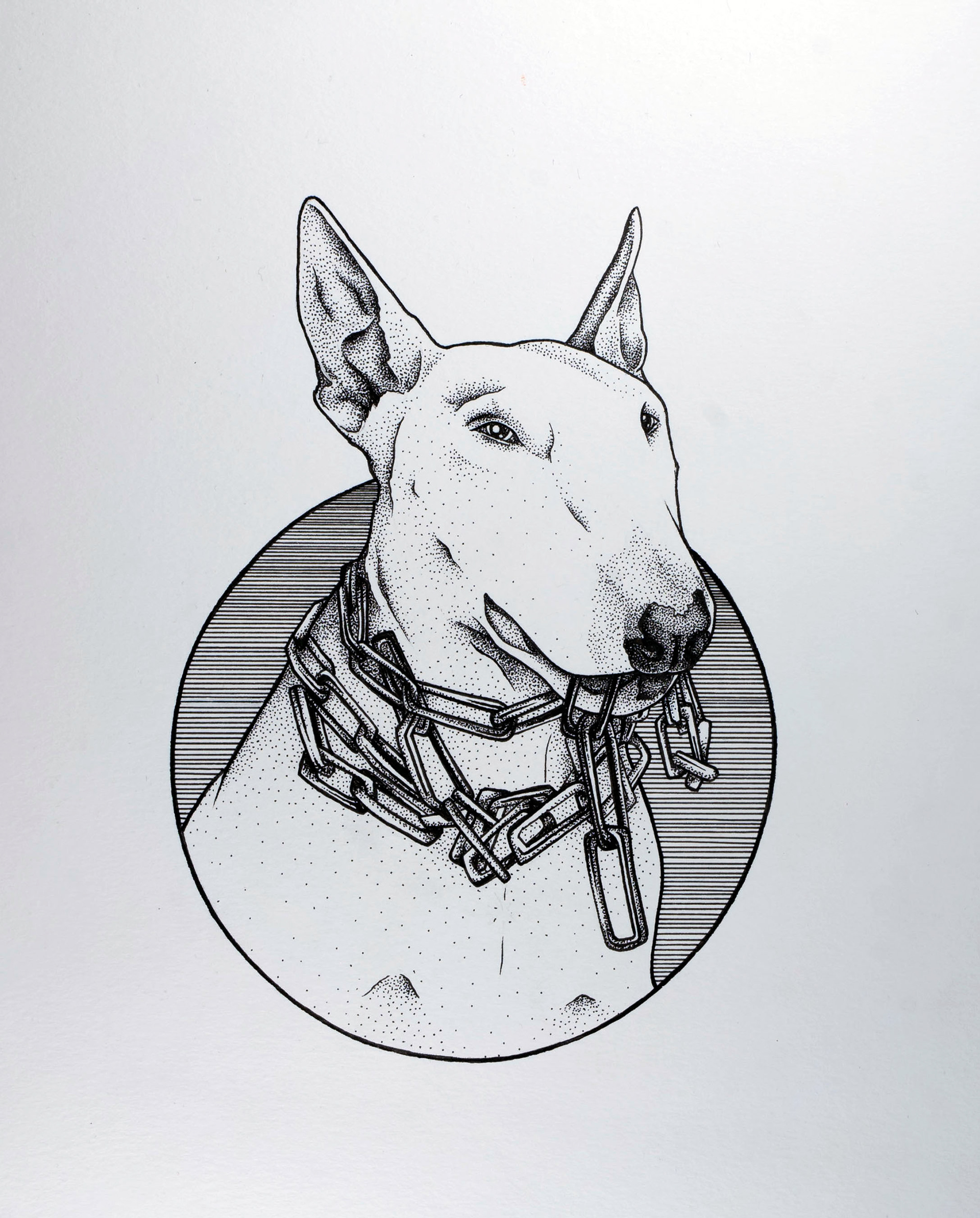 @scooterz_wag, 2016