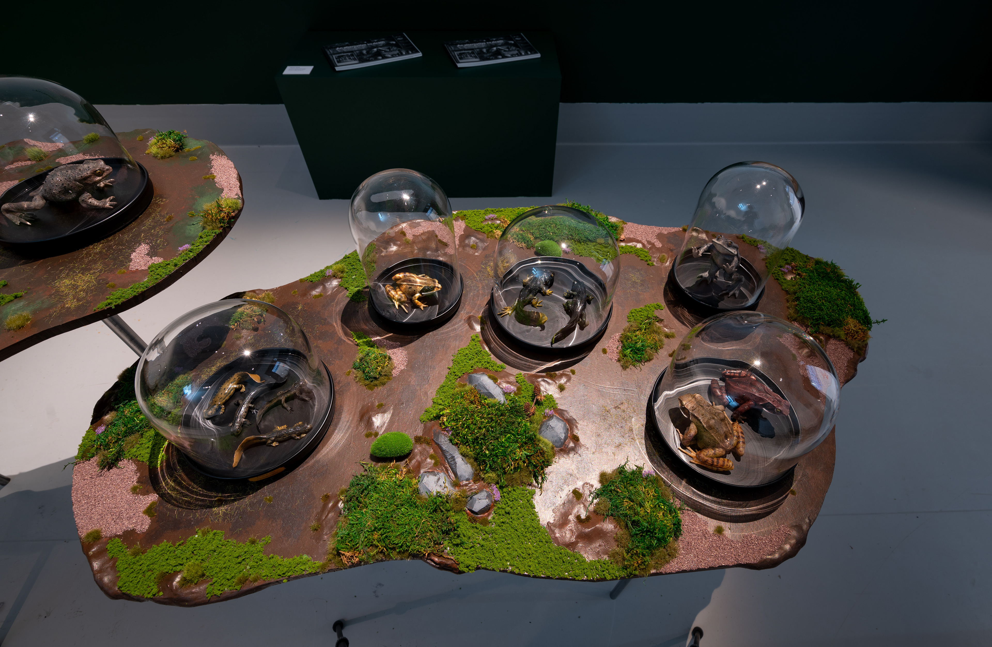 Biotope table closeup