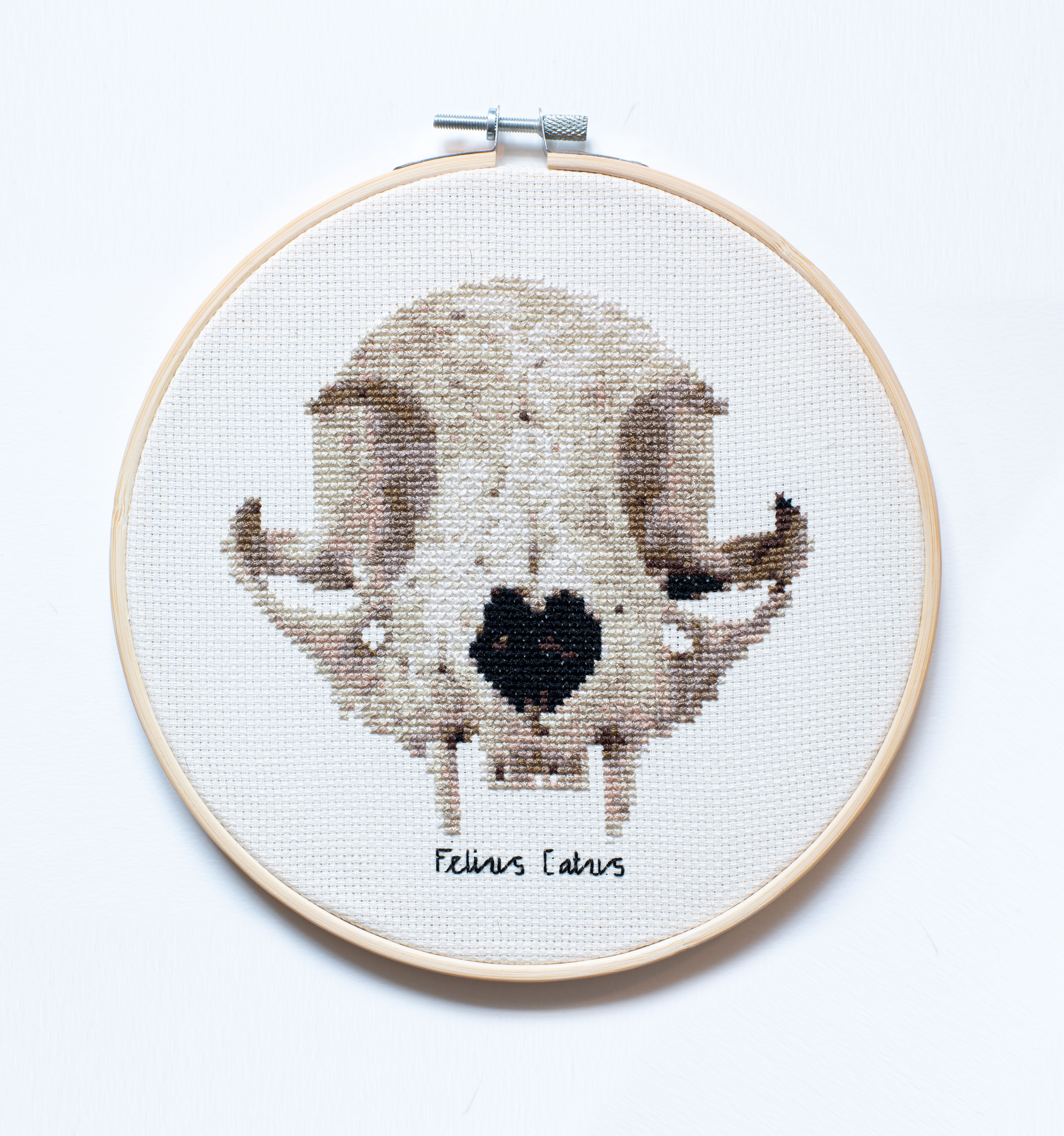 Cat skull embroidery, 2022